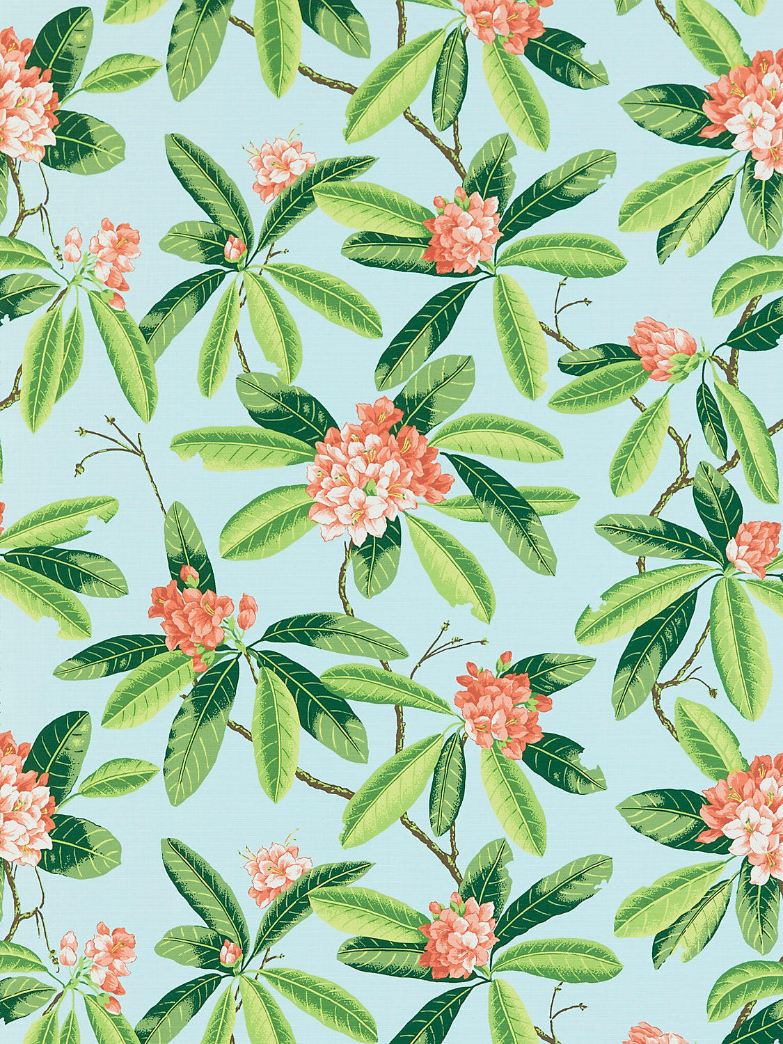 Rhododendron | Outdoor - Coral On Aqua - Scalamandre Fabric