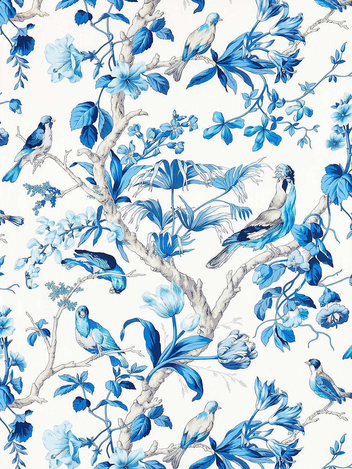 Belize Print - Porcelain