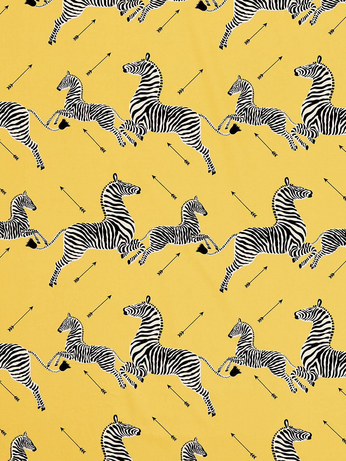 Zebras Petite - Yellow