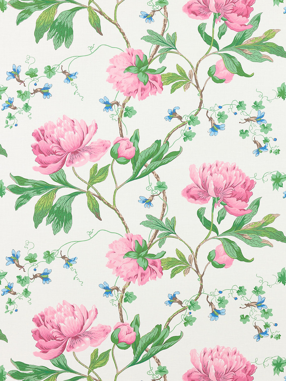Isadora Print - Petal