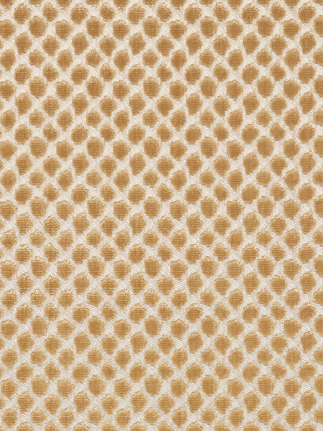 Etosha Velvet - Palomino - Scalamandre Fabric