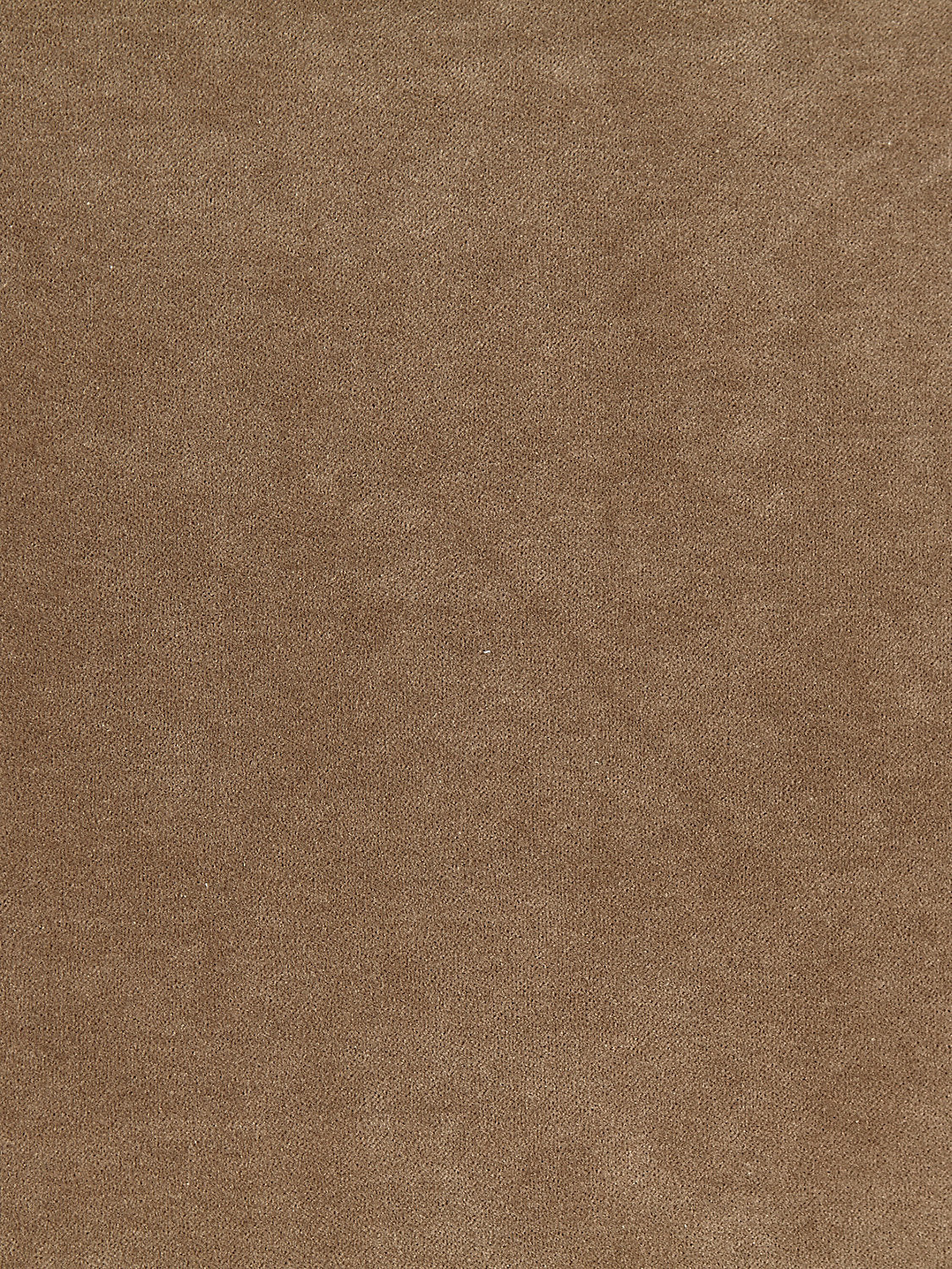 Aurora Velvet - Taupe