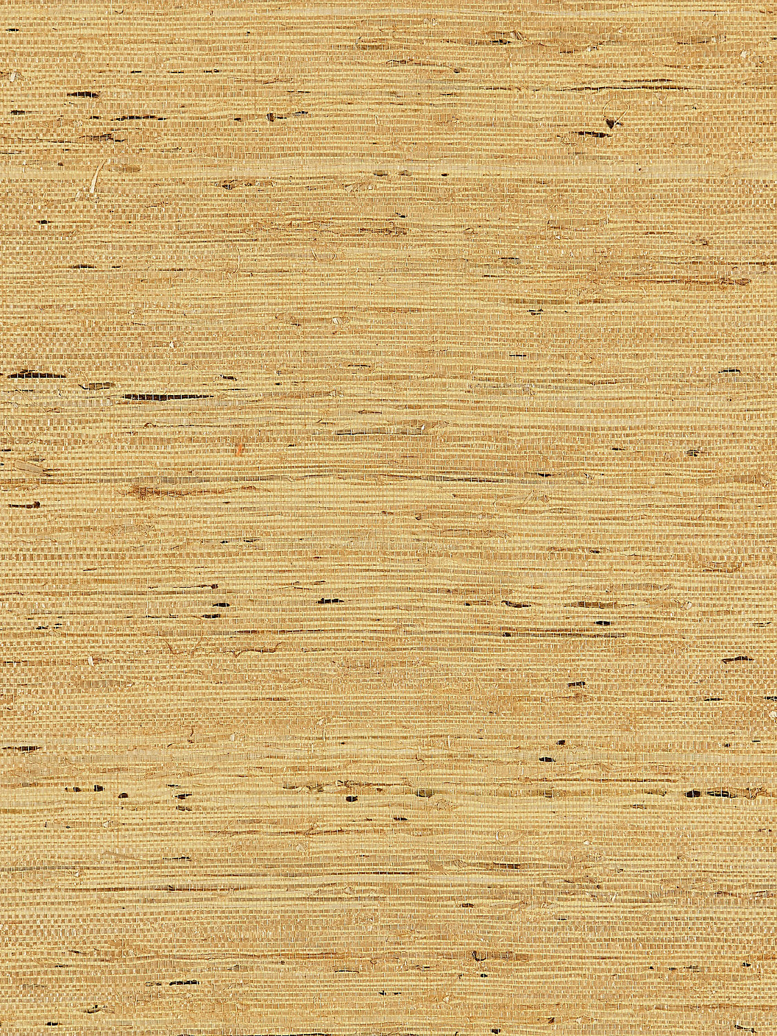 Arrowroot Weave - Honey - Scalamandre Wallpaper