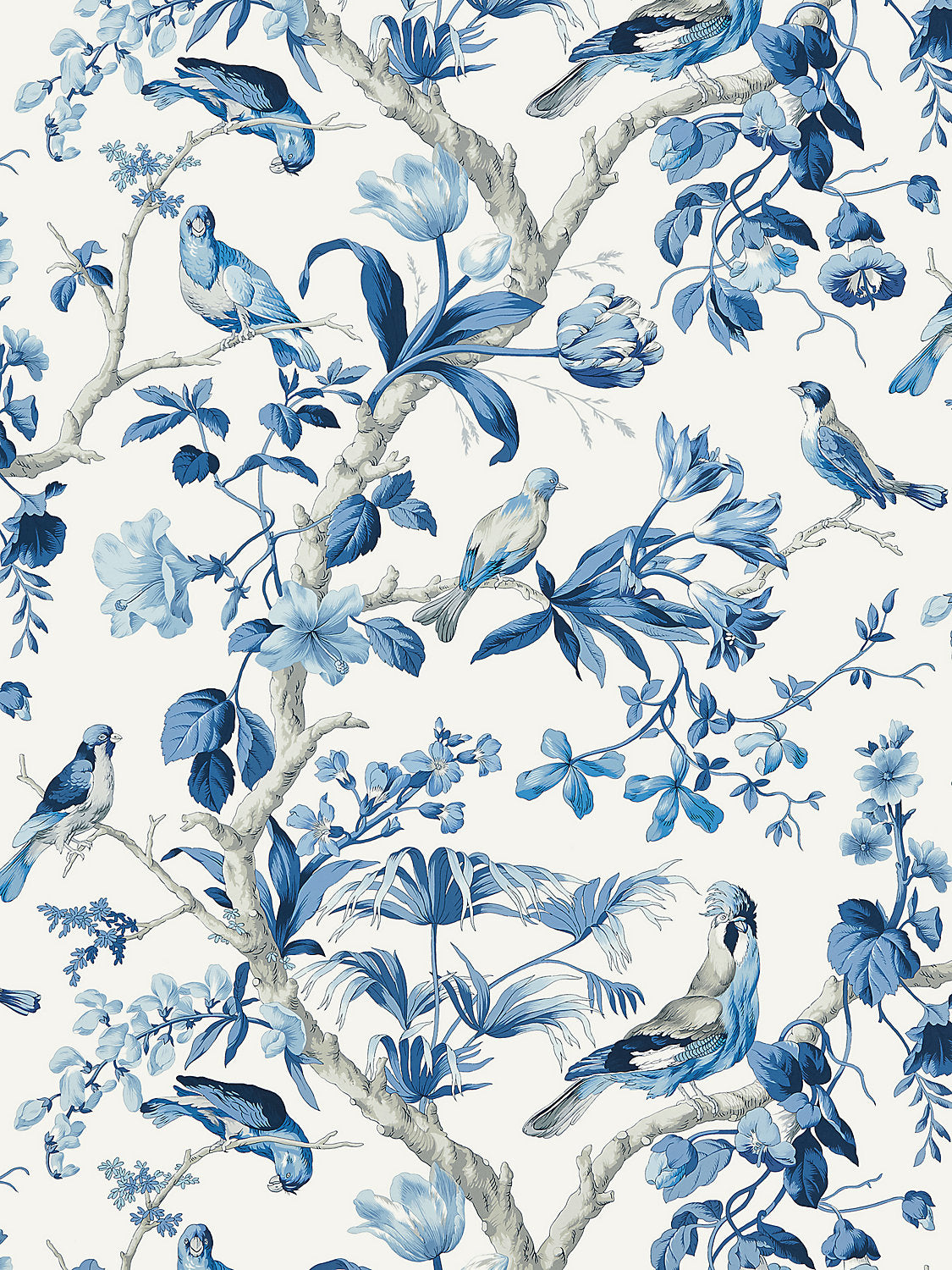 Belize - Porcelain