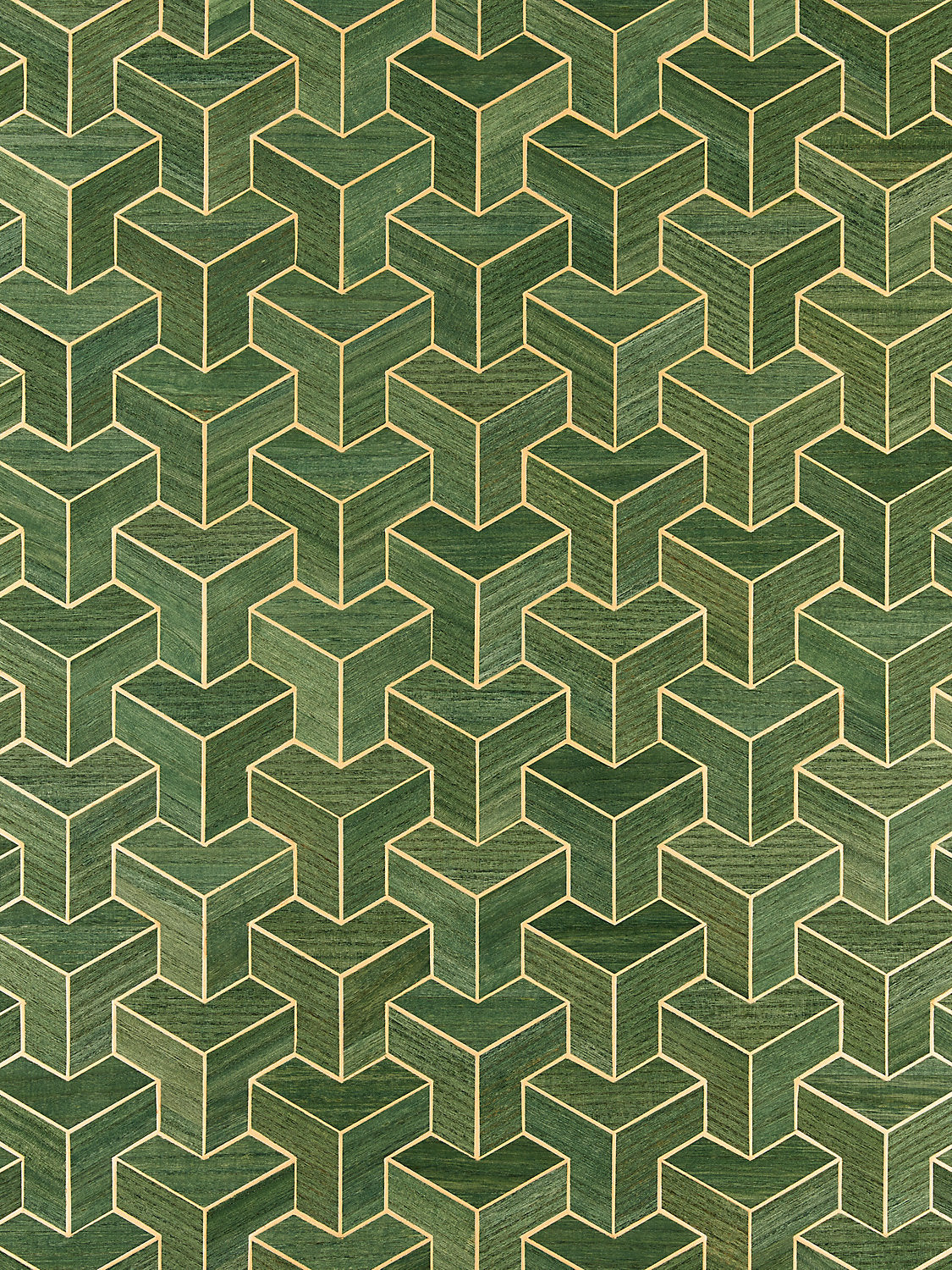 Forte | Wood - Cactus - Scalamandre Wallpaper