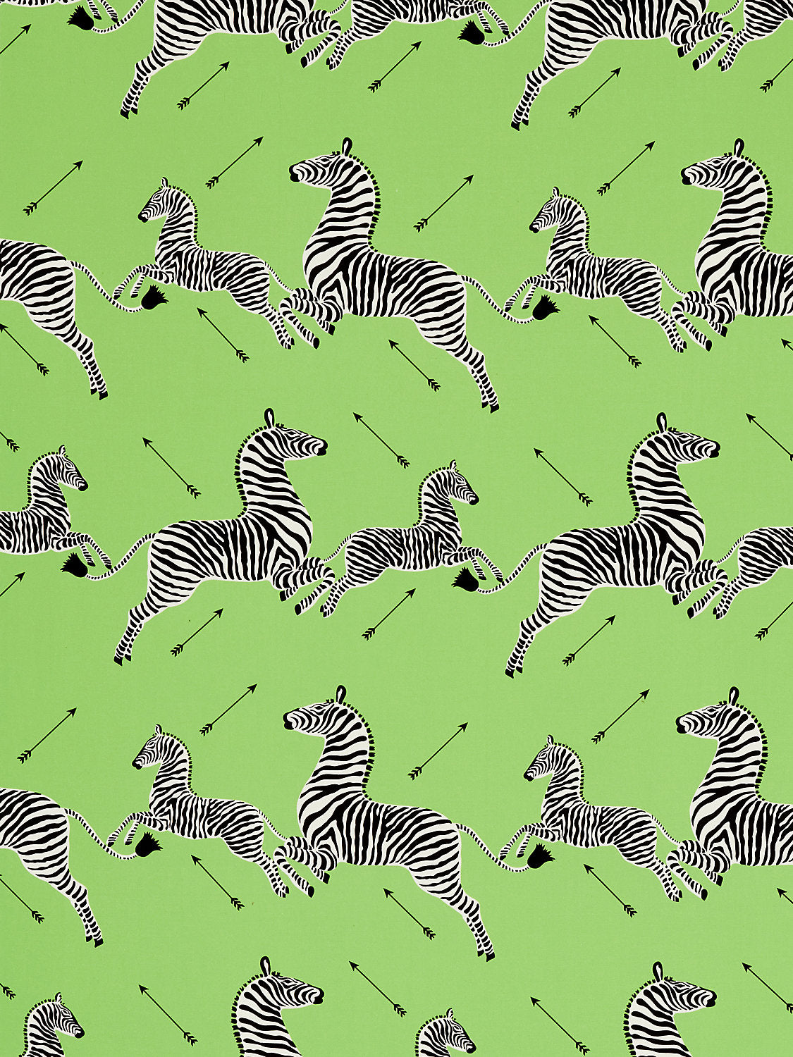 Zebras Petite - Lime