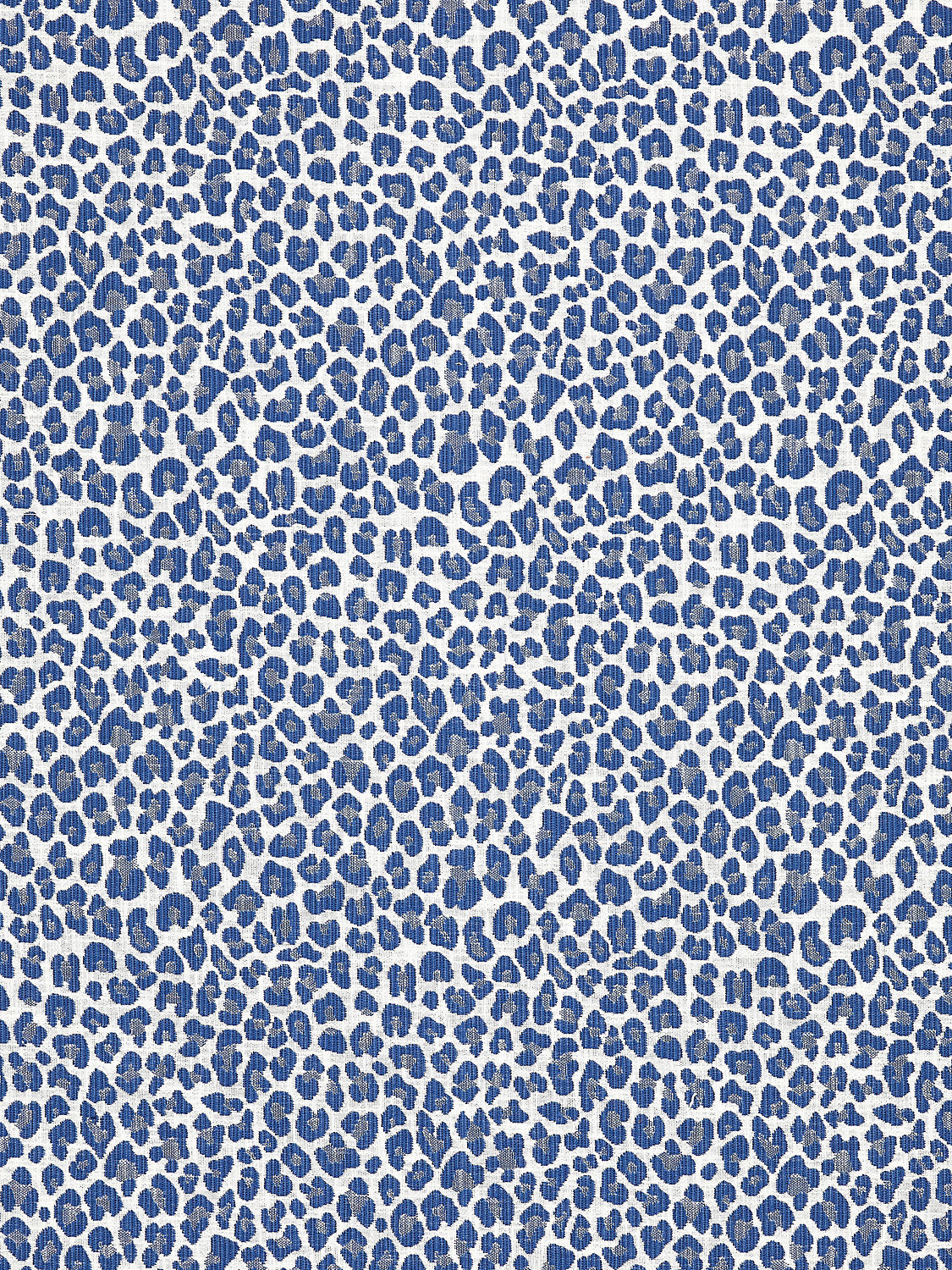 Backyard Bengal - Cobalt - Scalamandre Fabric