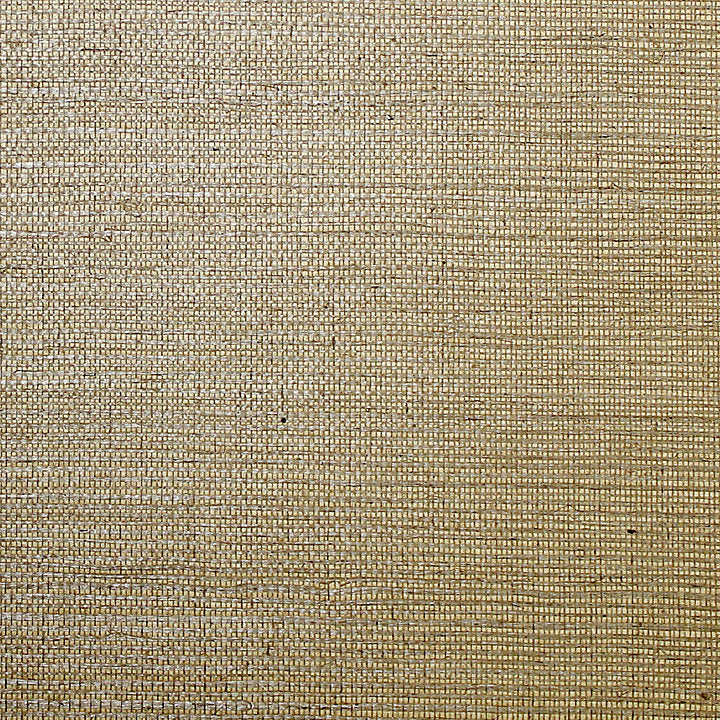 Sisal - Acorn