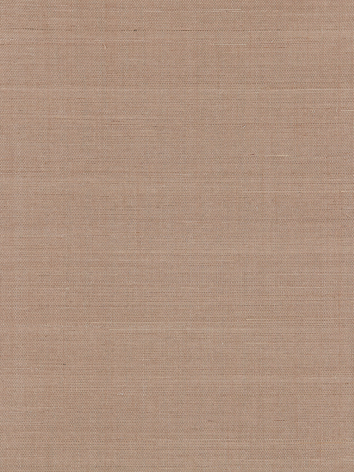 Fine Sisal - Fawn - Scalamandre Wallpaper