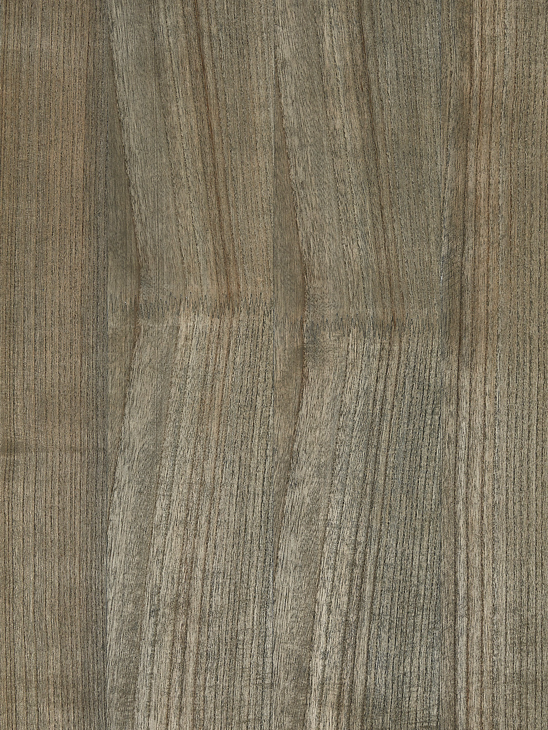 Woodgrain - Shark