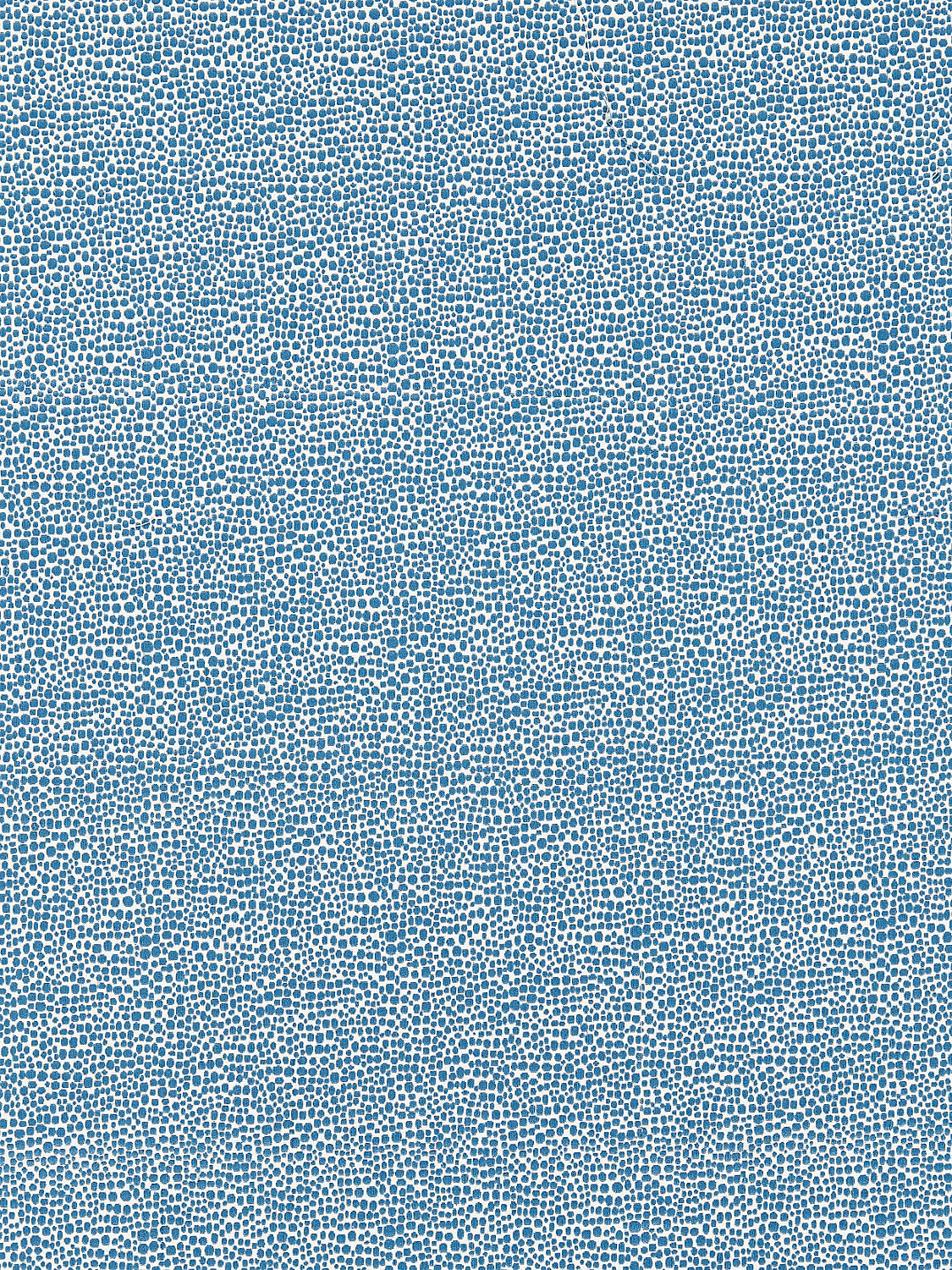 Shagreen - Delft - Scalamandre Fabric