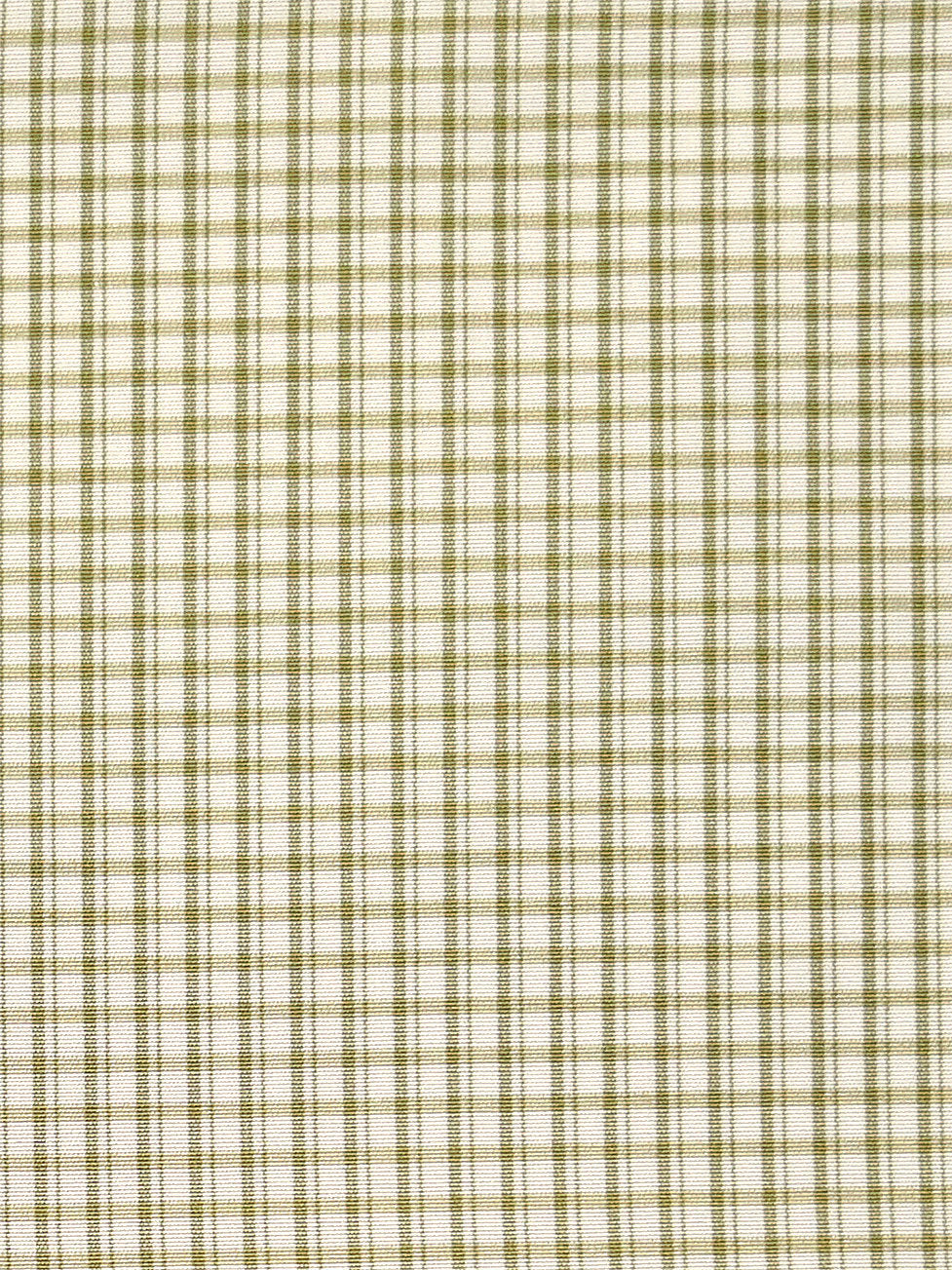Astor Check - Leaf