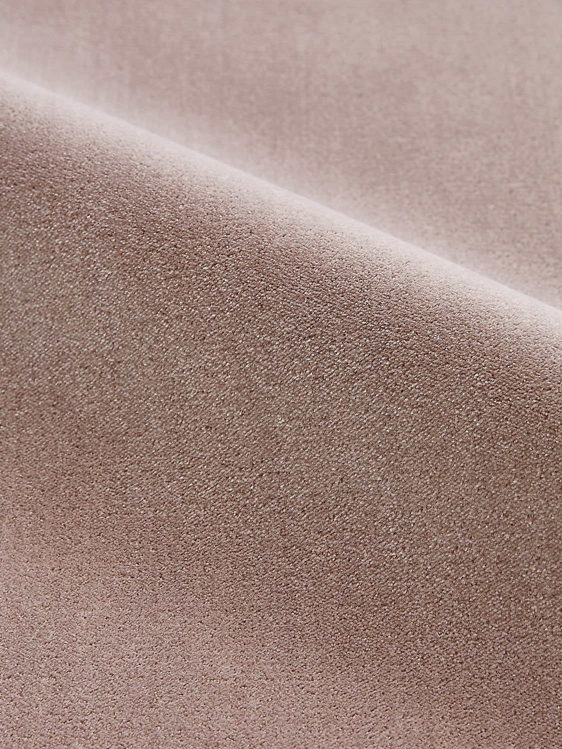 Porter - Earth - Scalamandre Fabric
