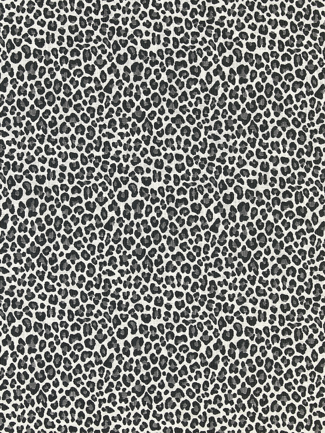 Backyard Bengal - Slate