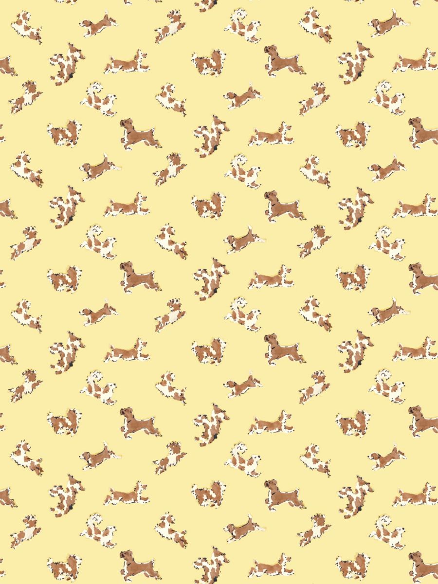 Fete De Chien wallpaper in Lemon And Siena by Scalamandré - Scalamandre Wallpaper