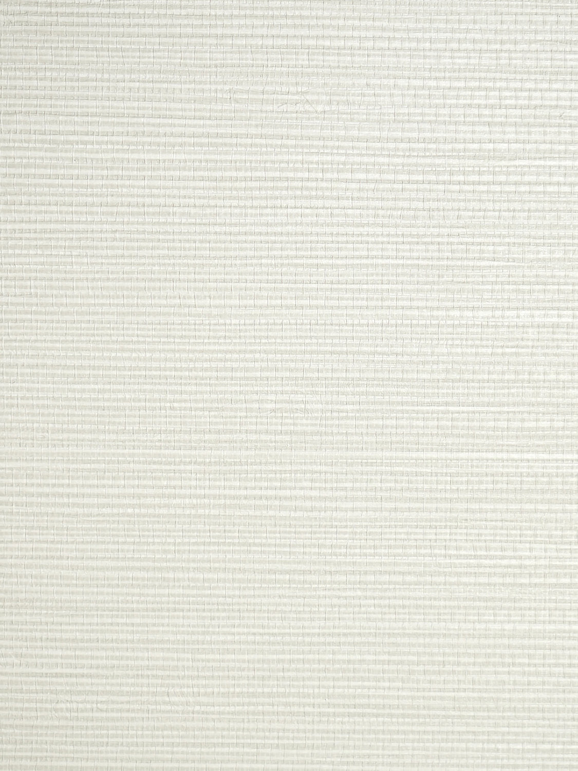 Savanna Seedling - Alabaster - Scalamandre Wallpaper