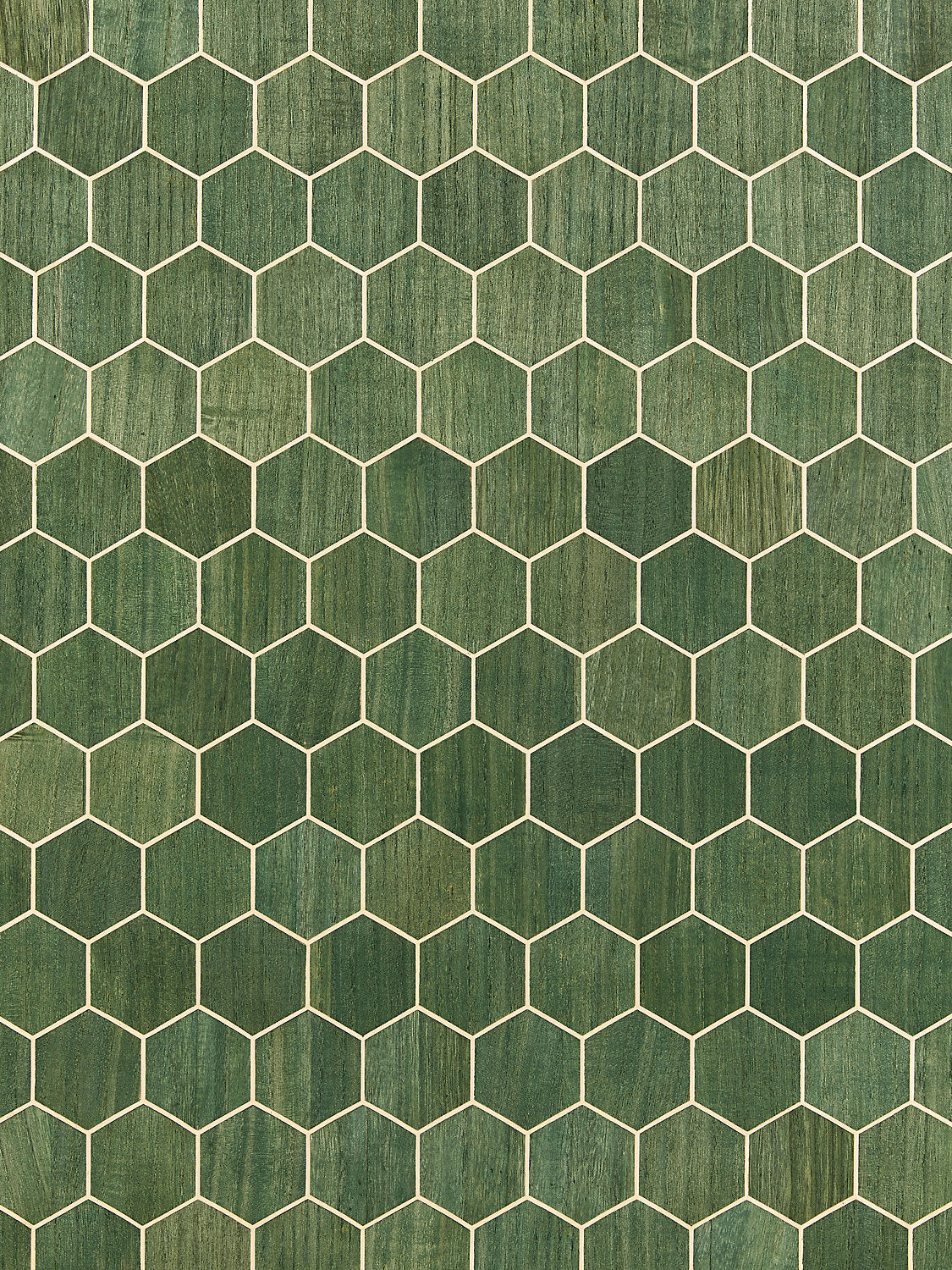 Andante - Aloe