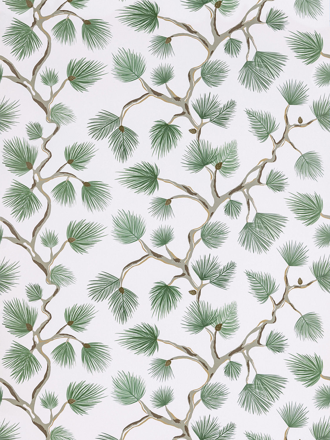 Pignoli Wallcovering - Fern - Scalamandre Wallpaper