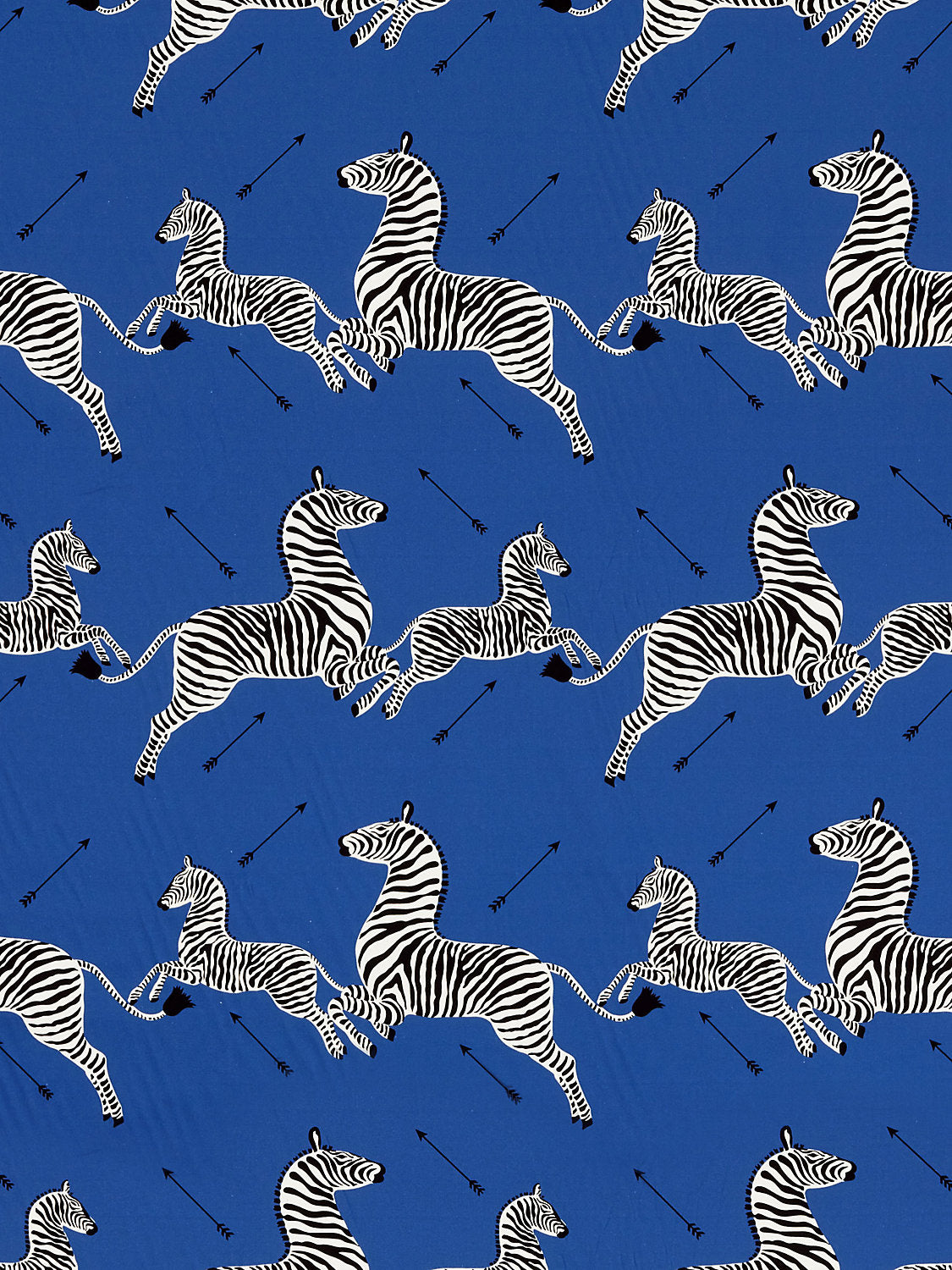 Zebras Petite - Denim