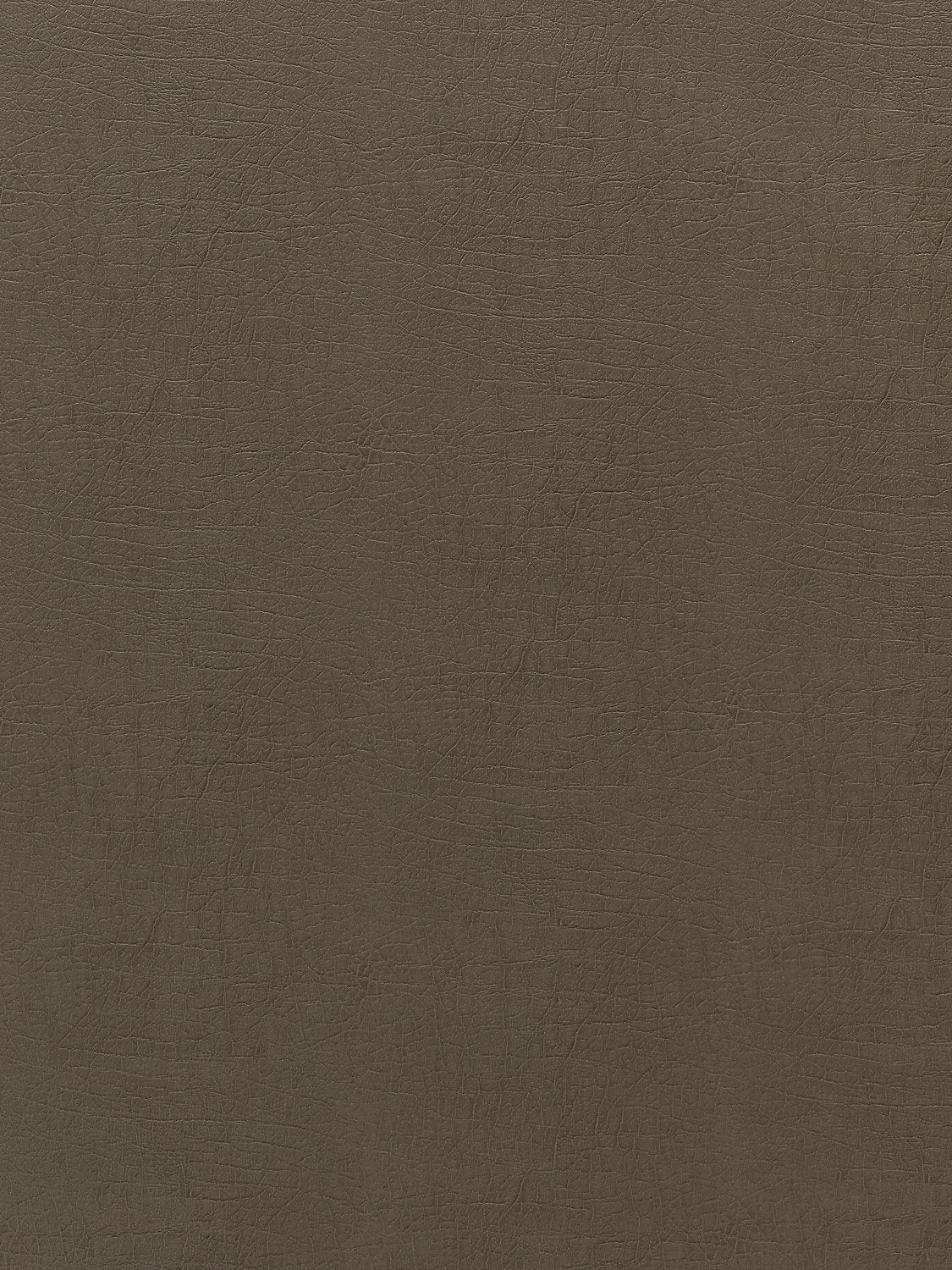 Cary - Portobello - Scalamandre Fabric