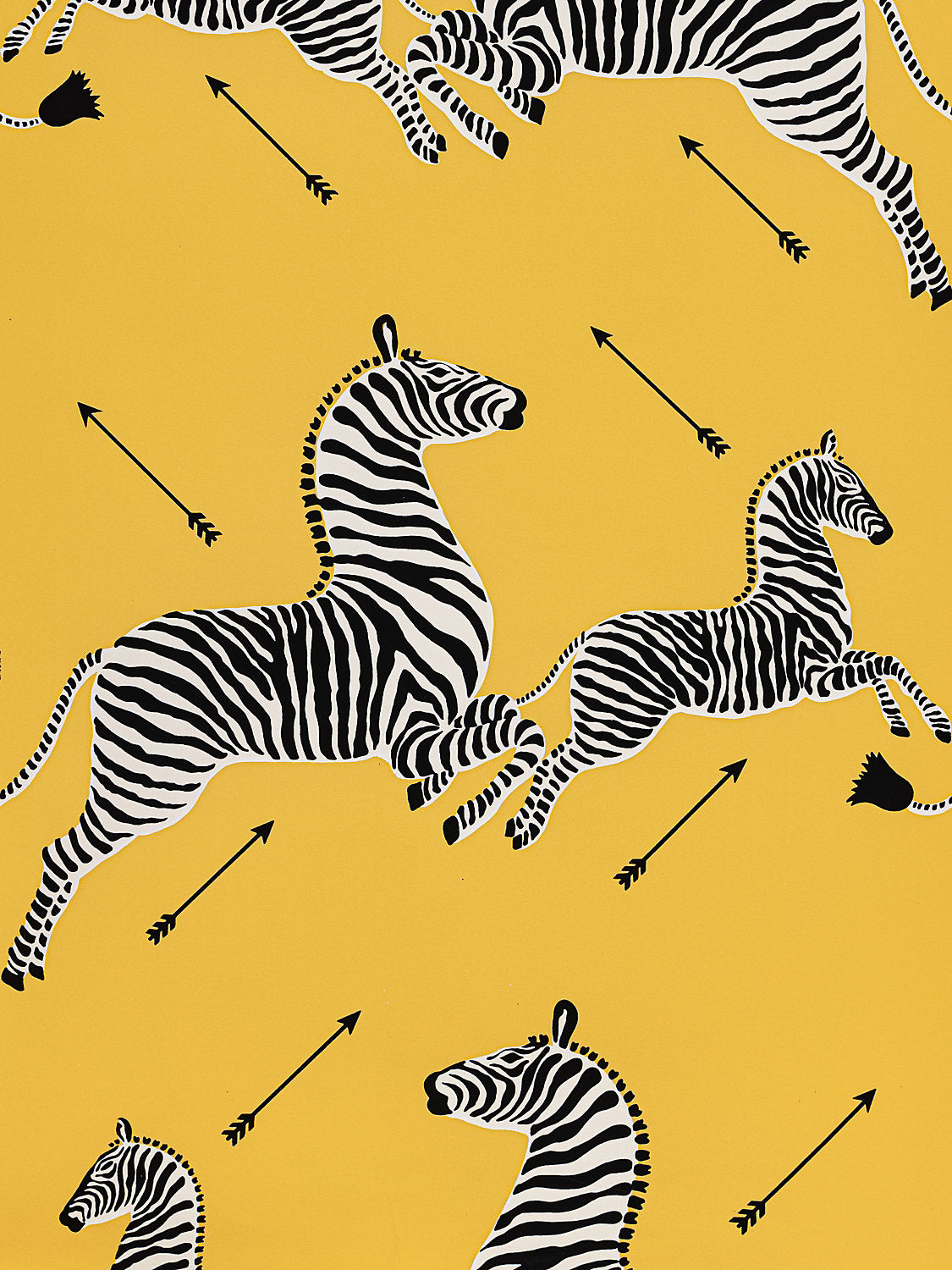Zebras | Vinyl - Yellow
