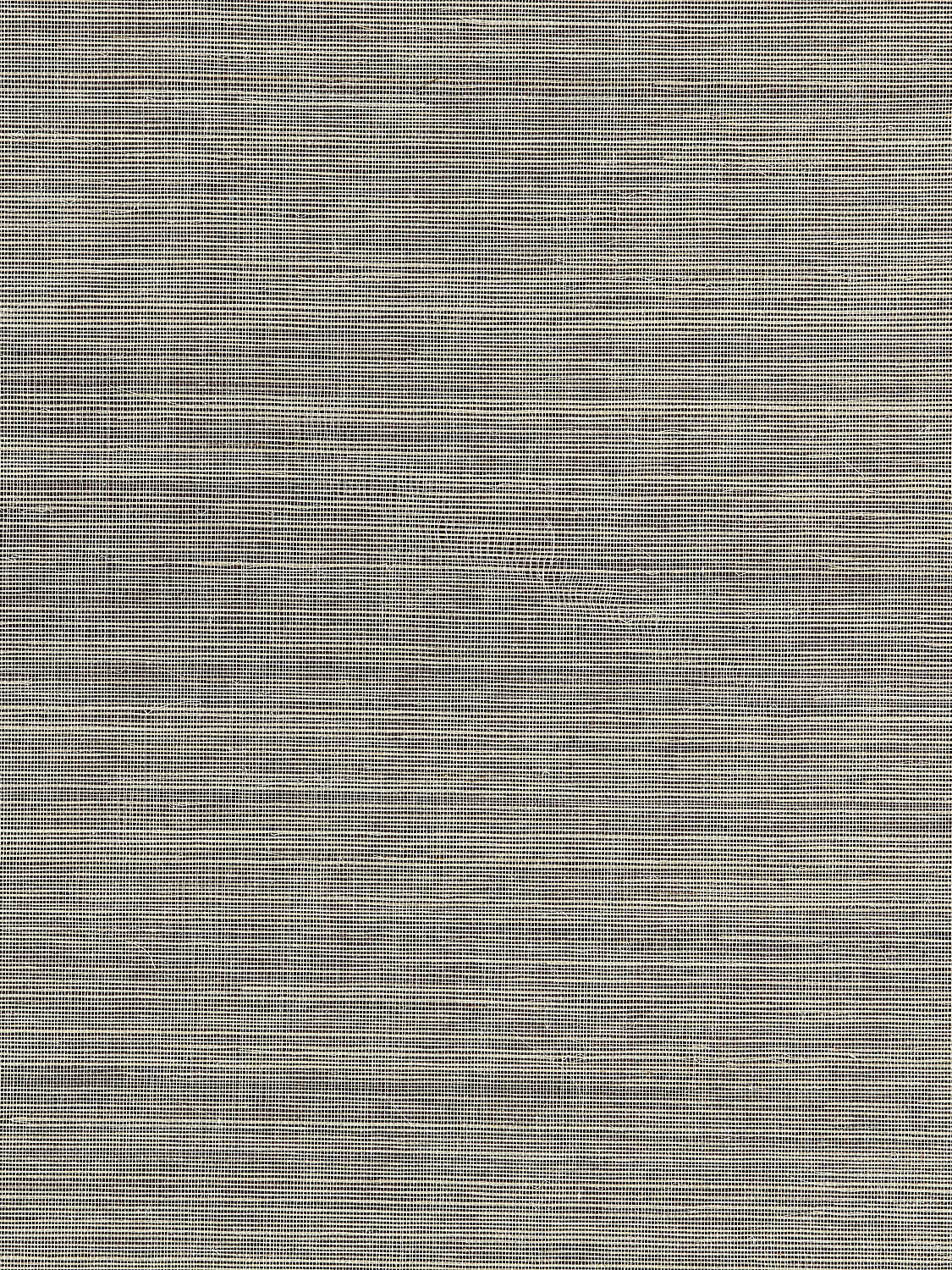 Fine Sisal - Safari - Scalamandre Wallpaper