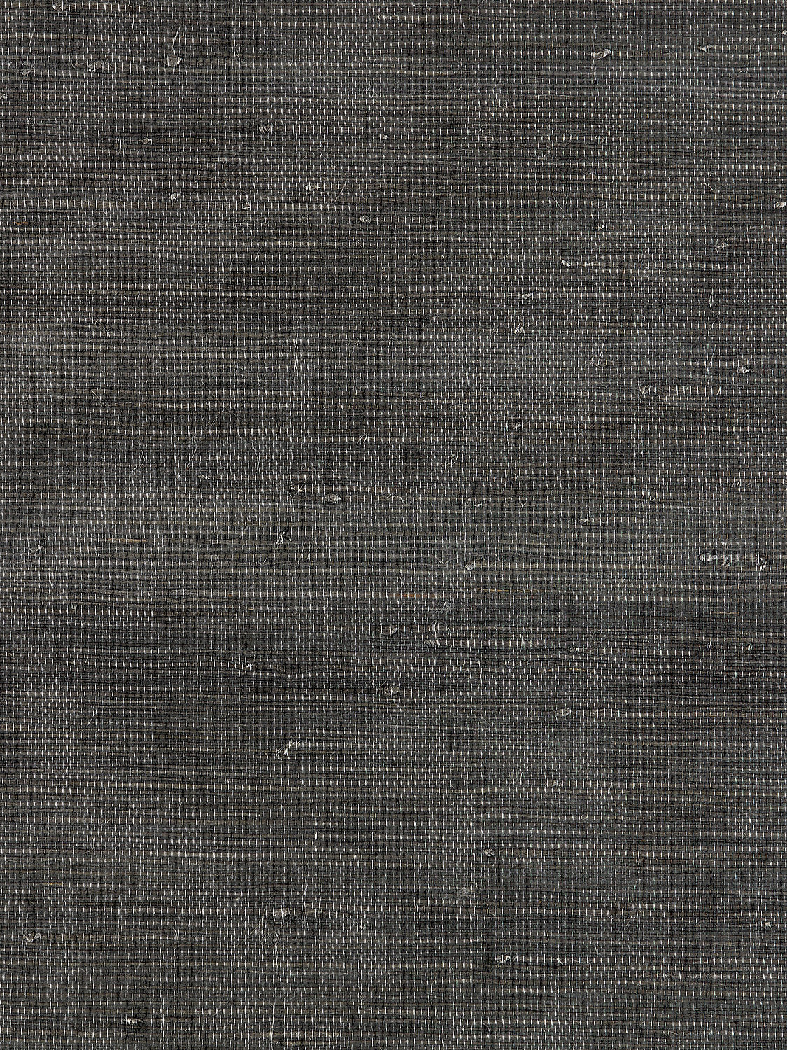 Textured Sisal - Anthracite