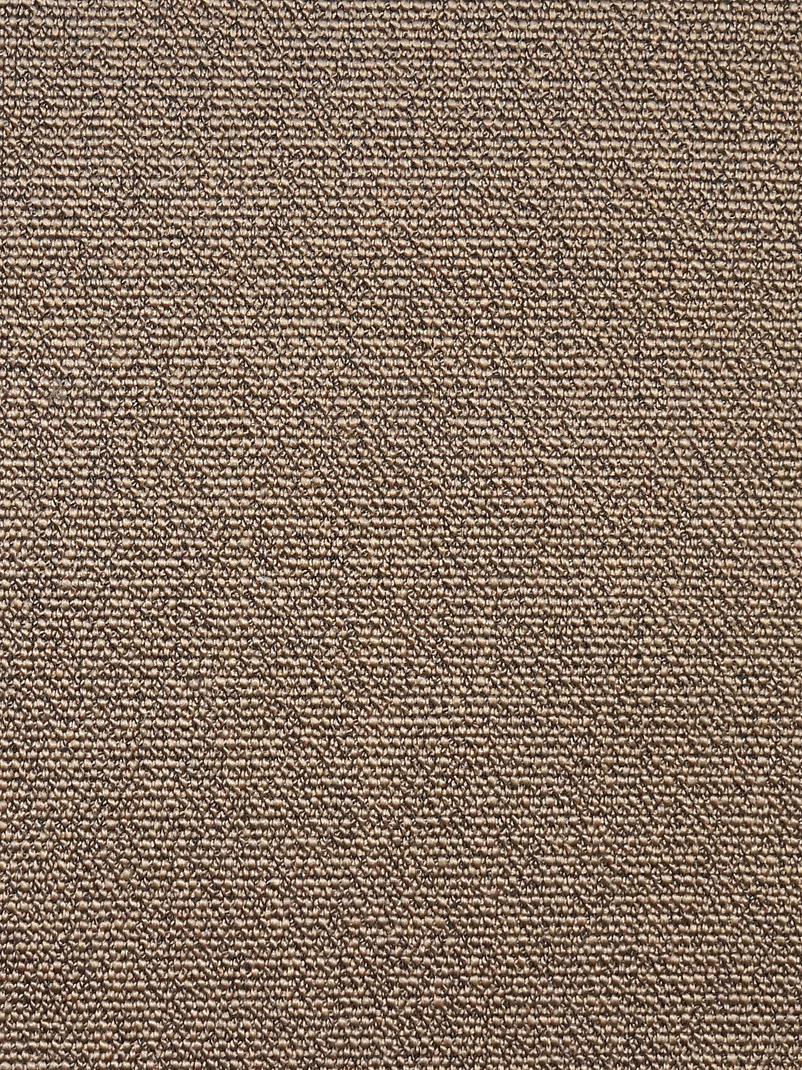 Boss Boucle - Sepia - Scalamandre Fabric