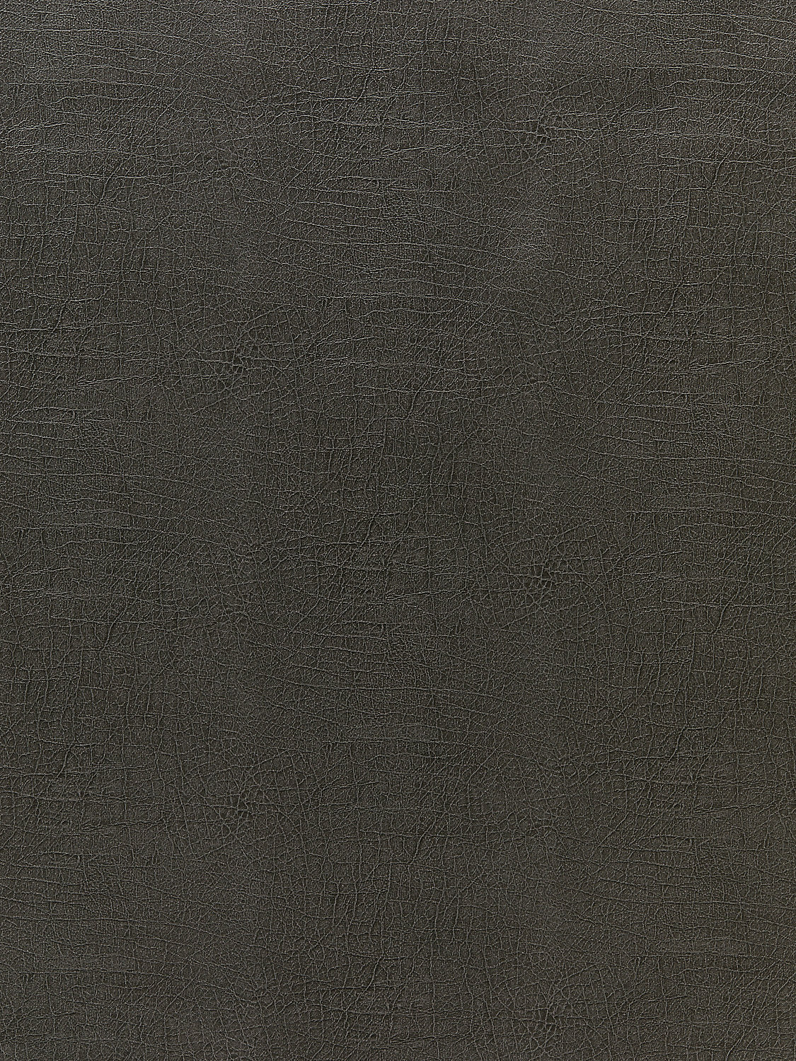 Cary - Smoke - Scalamandre Fabric