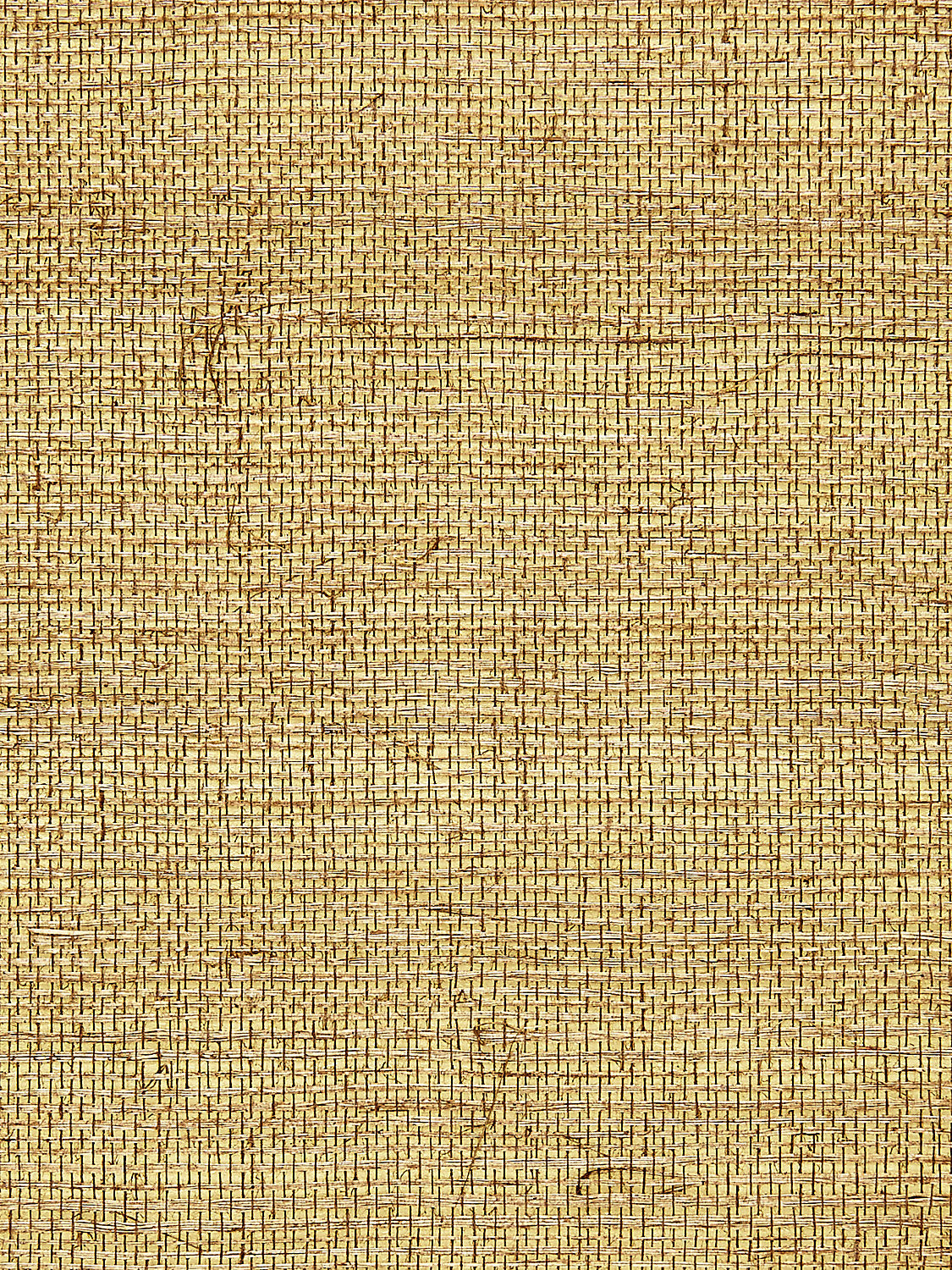 Sisal Metallic - Burnished Gold - Scalamandre Wallpaper