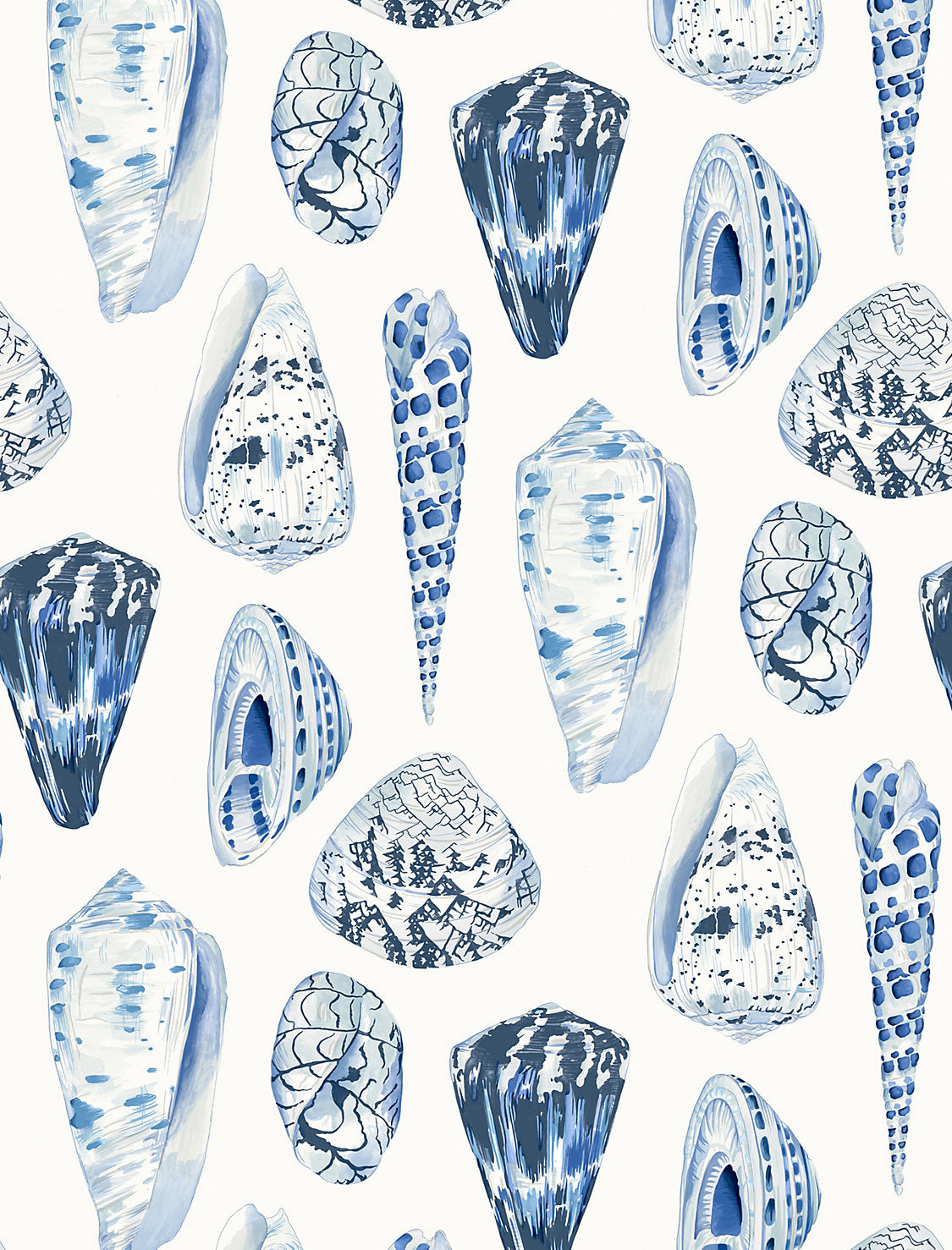 Coquina - Porcelain