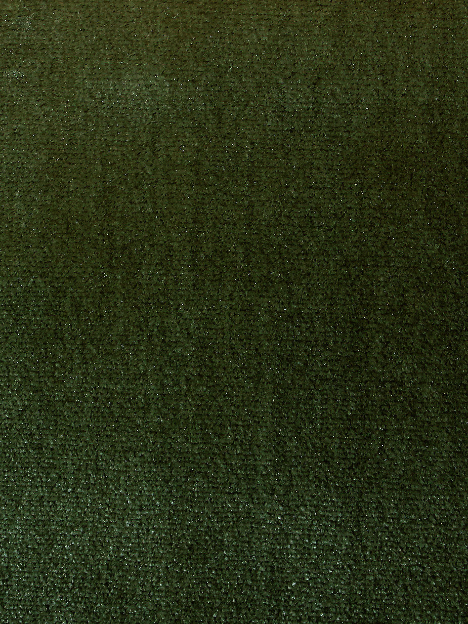 Tiberius - Pine - Scalamandre Fabric