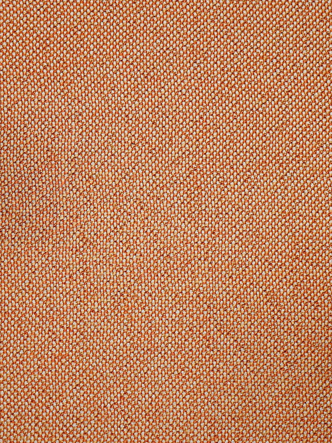 City Tweed - Pumpkin Spice
