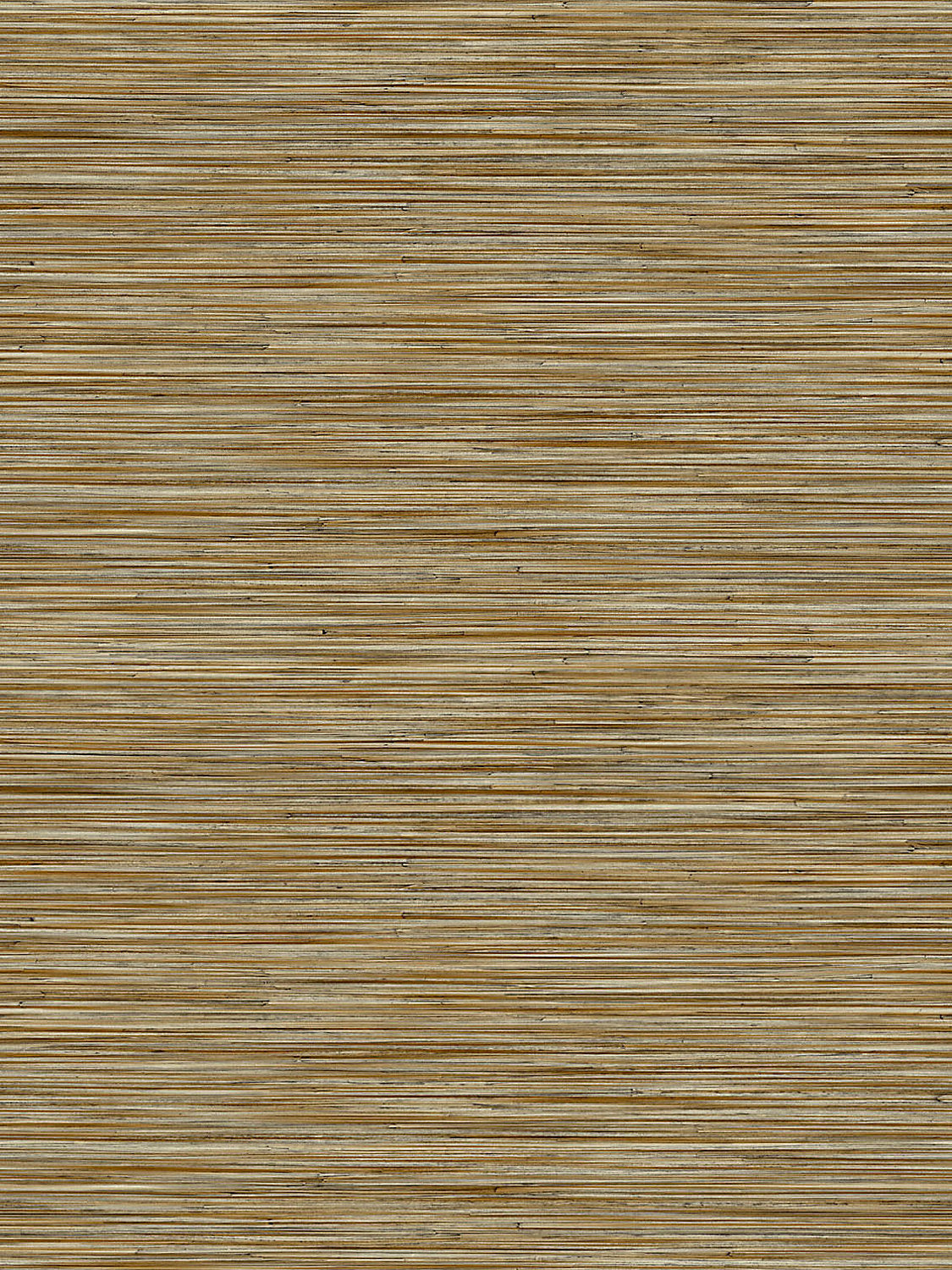 Akita - Moss