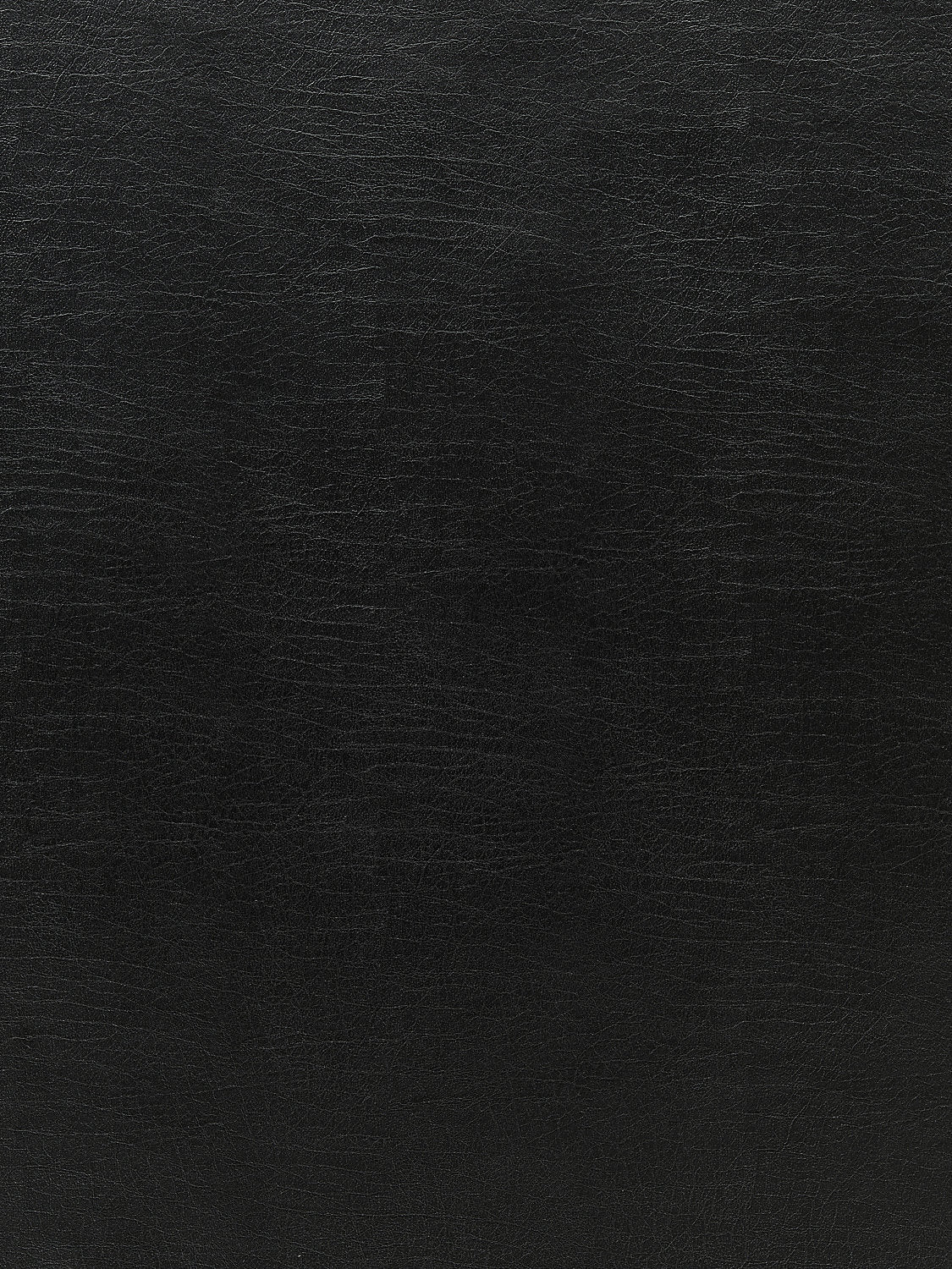 Cary - Onyx