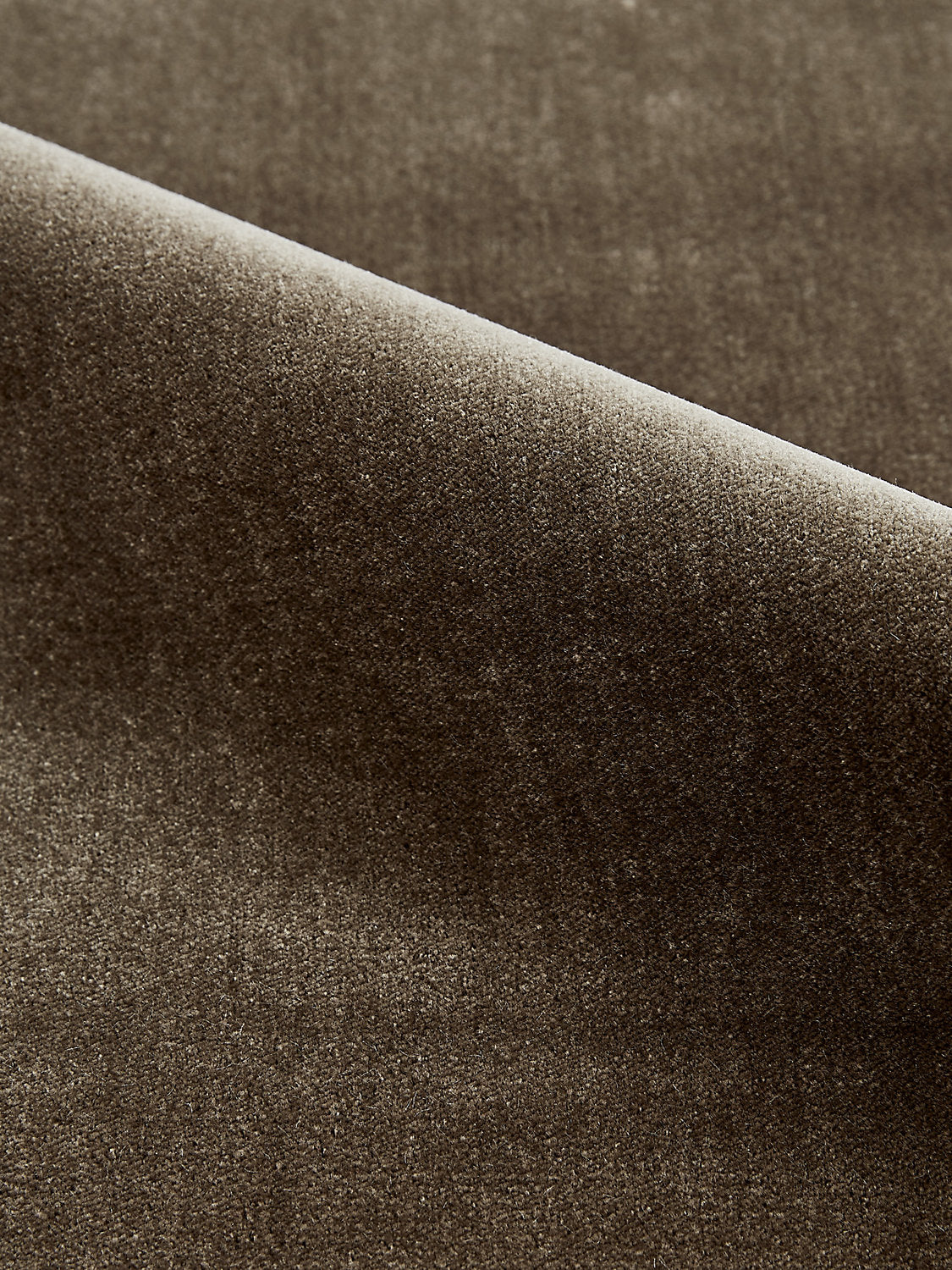 Porter - Olive - Scalamandre Fabric