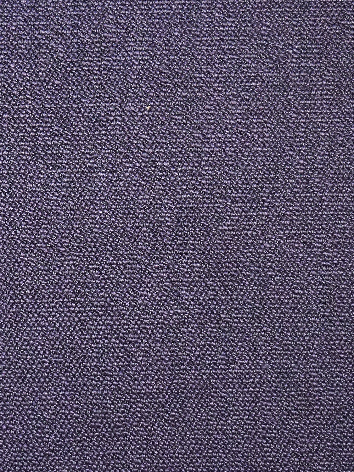 Boss Boucle - Thistle