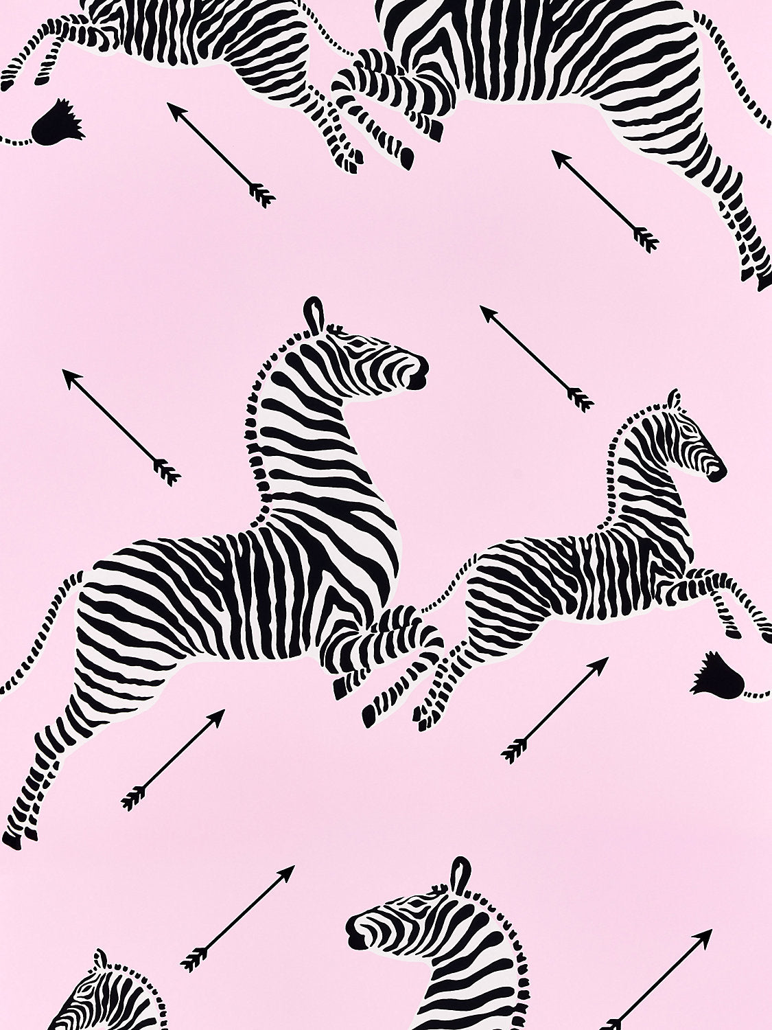 Zebras | Wallpaper - Dahlia