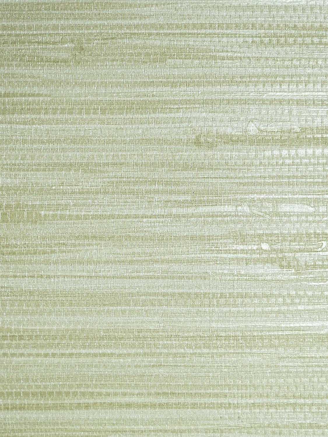 Pampas - Seagrass - Scalamandre Wallpaper