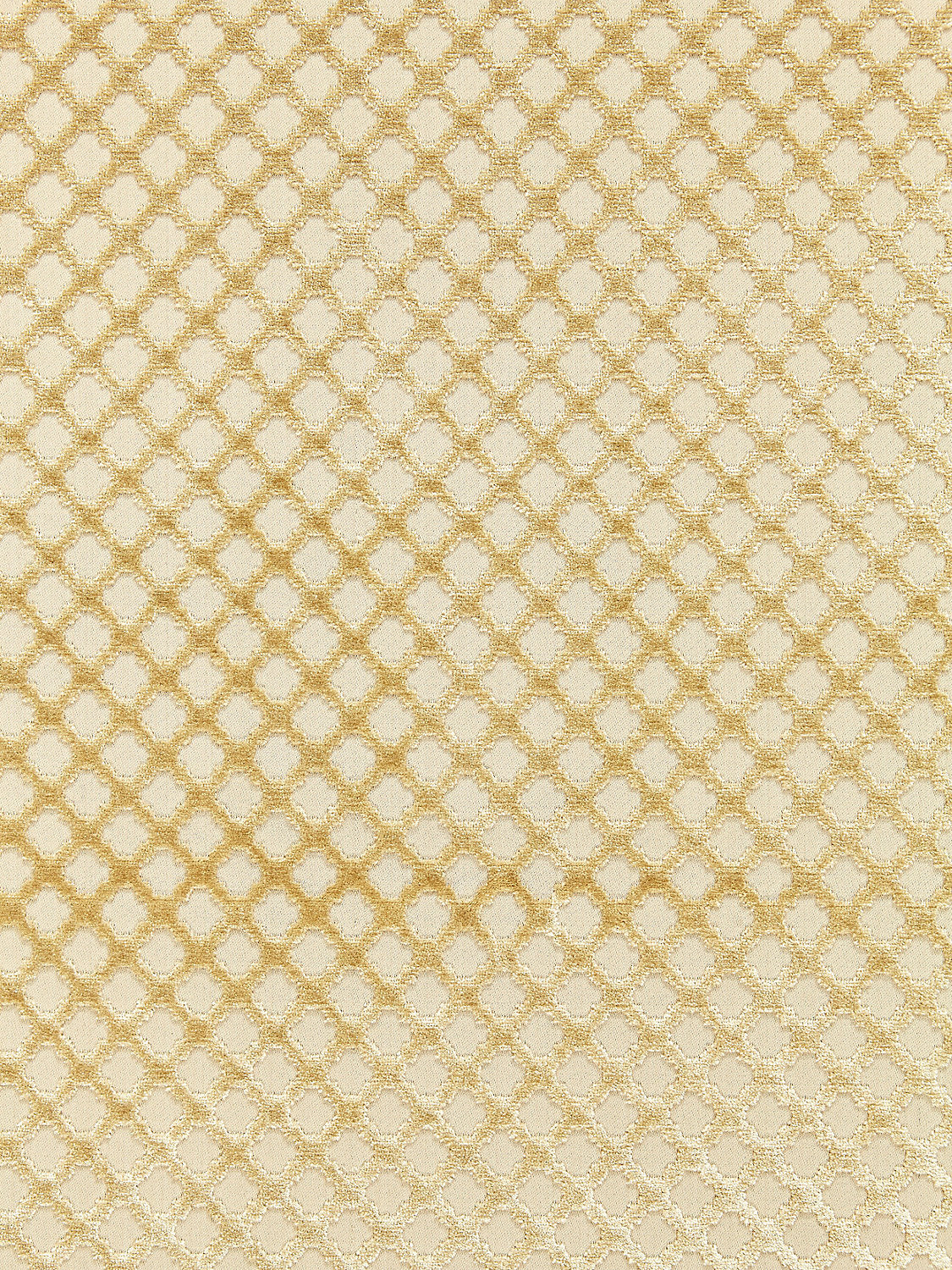 Pomfret - Sisal