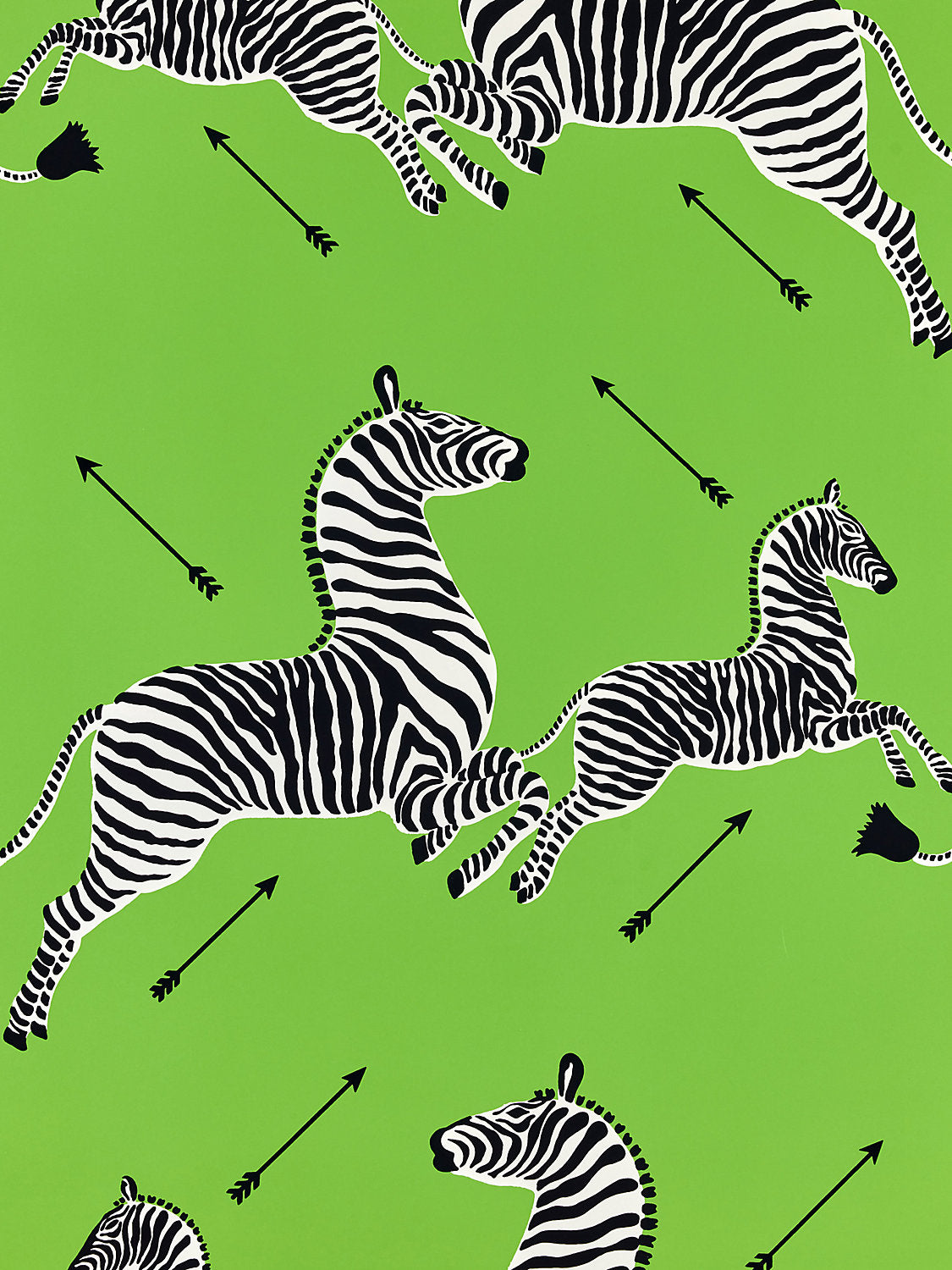 Zebras | Wallpaper - Limelight