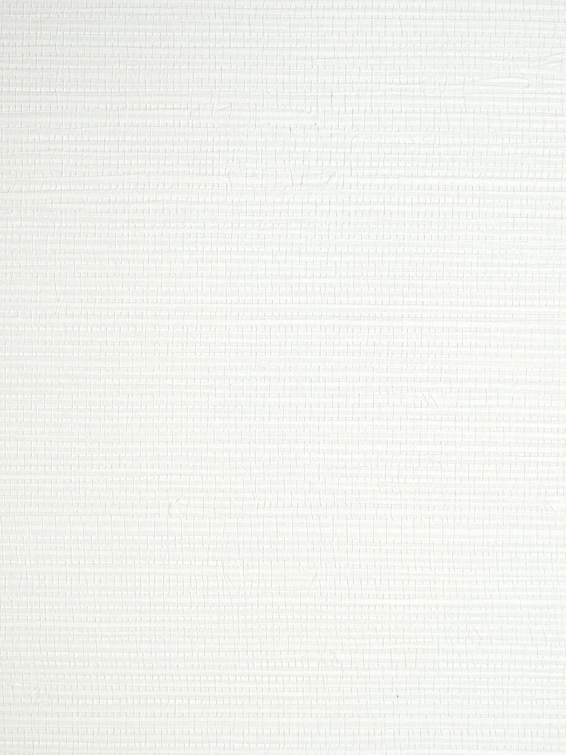 Savanna Seedling - Froth - Scalamandre Wallpaper