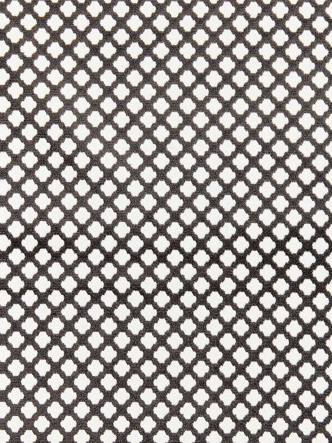 Pomfret - Carbon