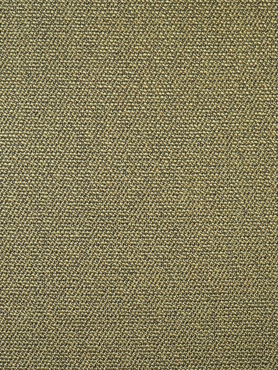 Boss Boucle - Seaweed