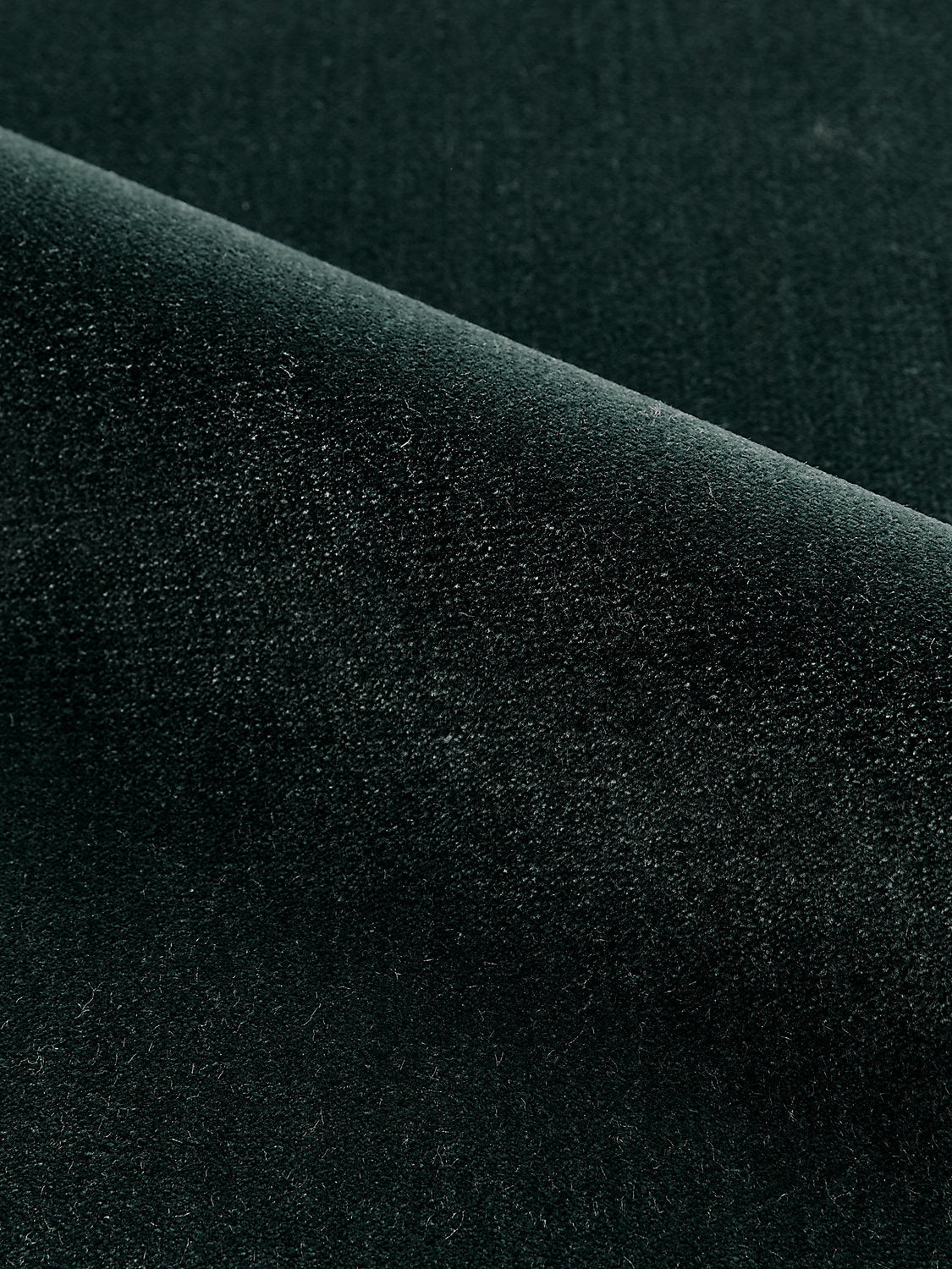 Porter - Carbon
