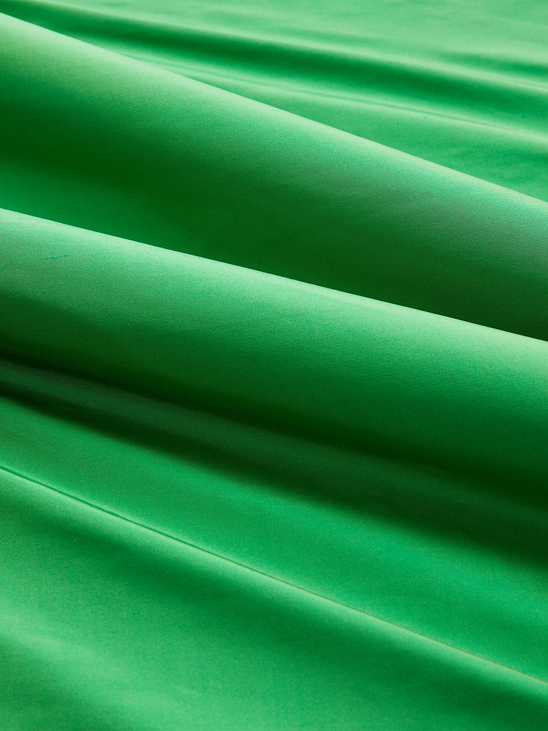 Olympia Silk Taffeta - Parrot