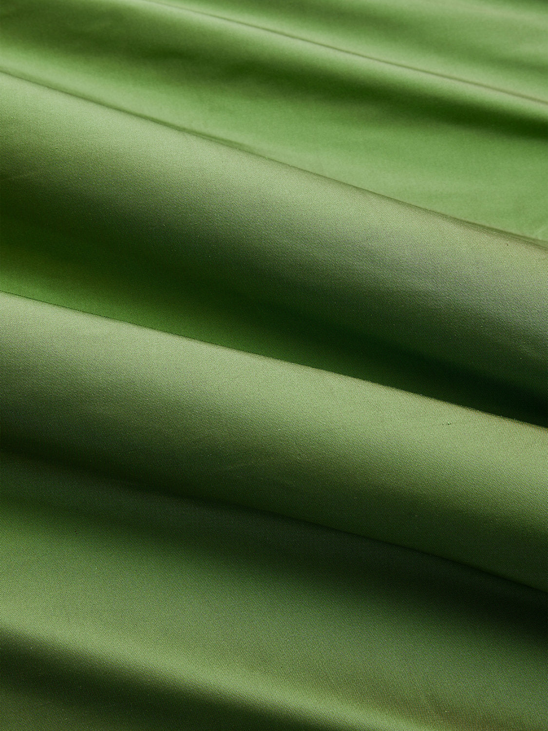 Olympia Silk Taffeta - Vine - Scalamandre Fabric