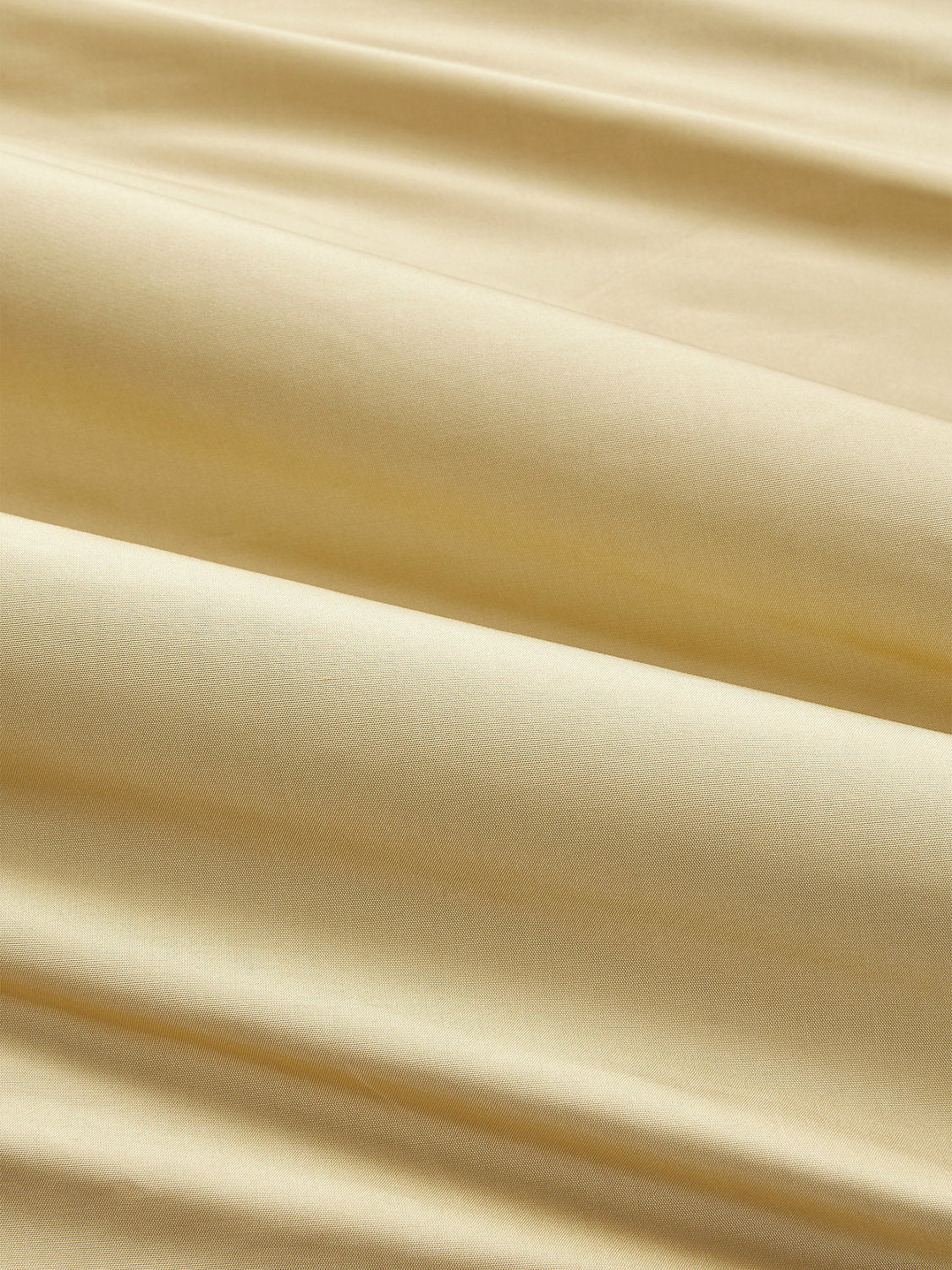 Olympia Silk Taffeta - Buttercup - Scalamandre Fabric