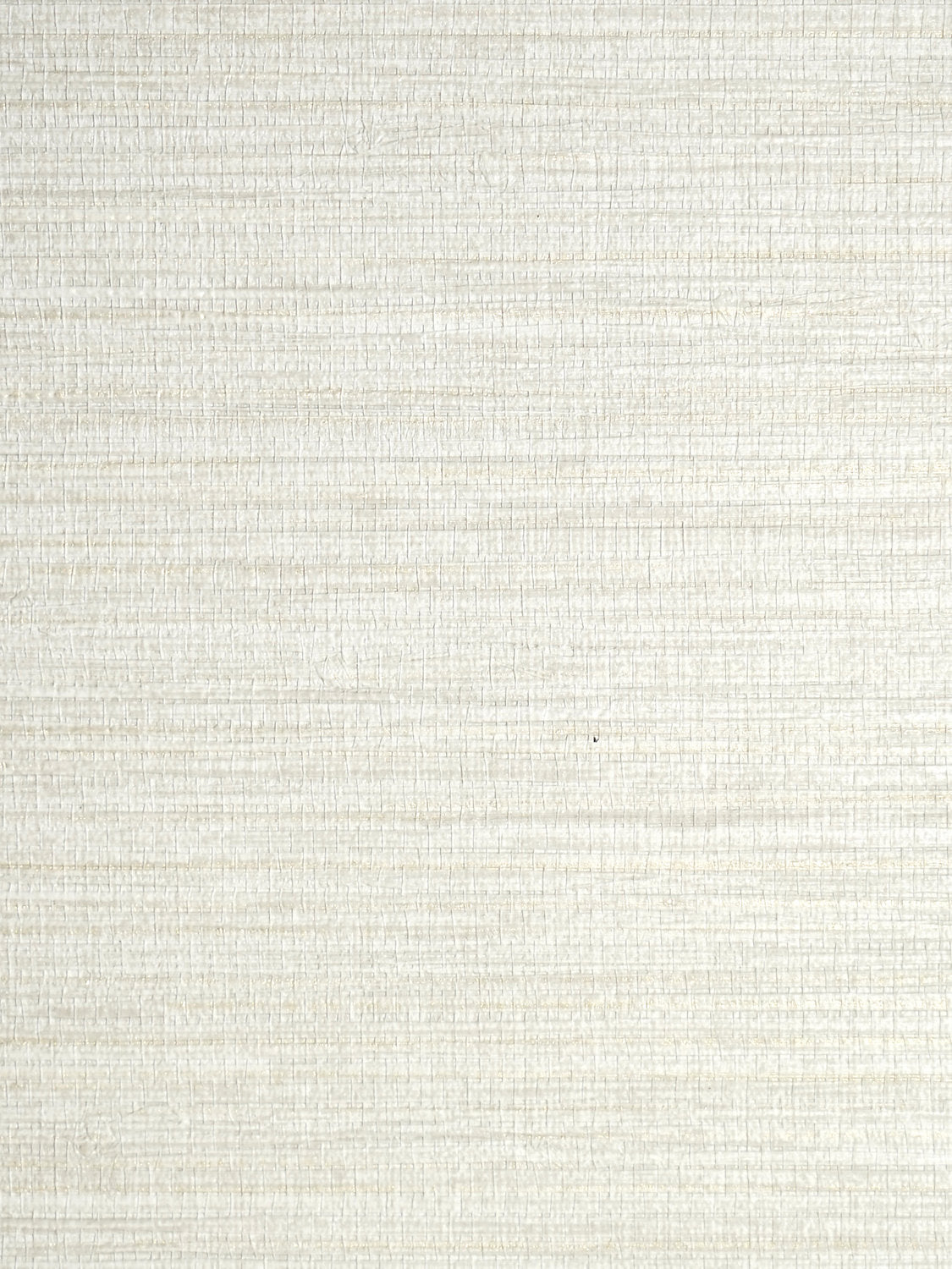 Feather Reed - Travertine - Scalamandre Wallpaper