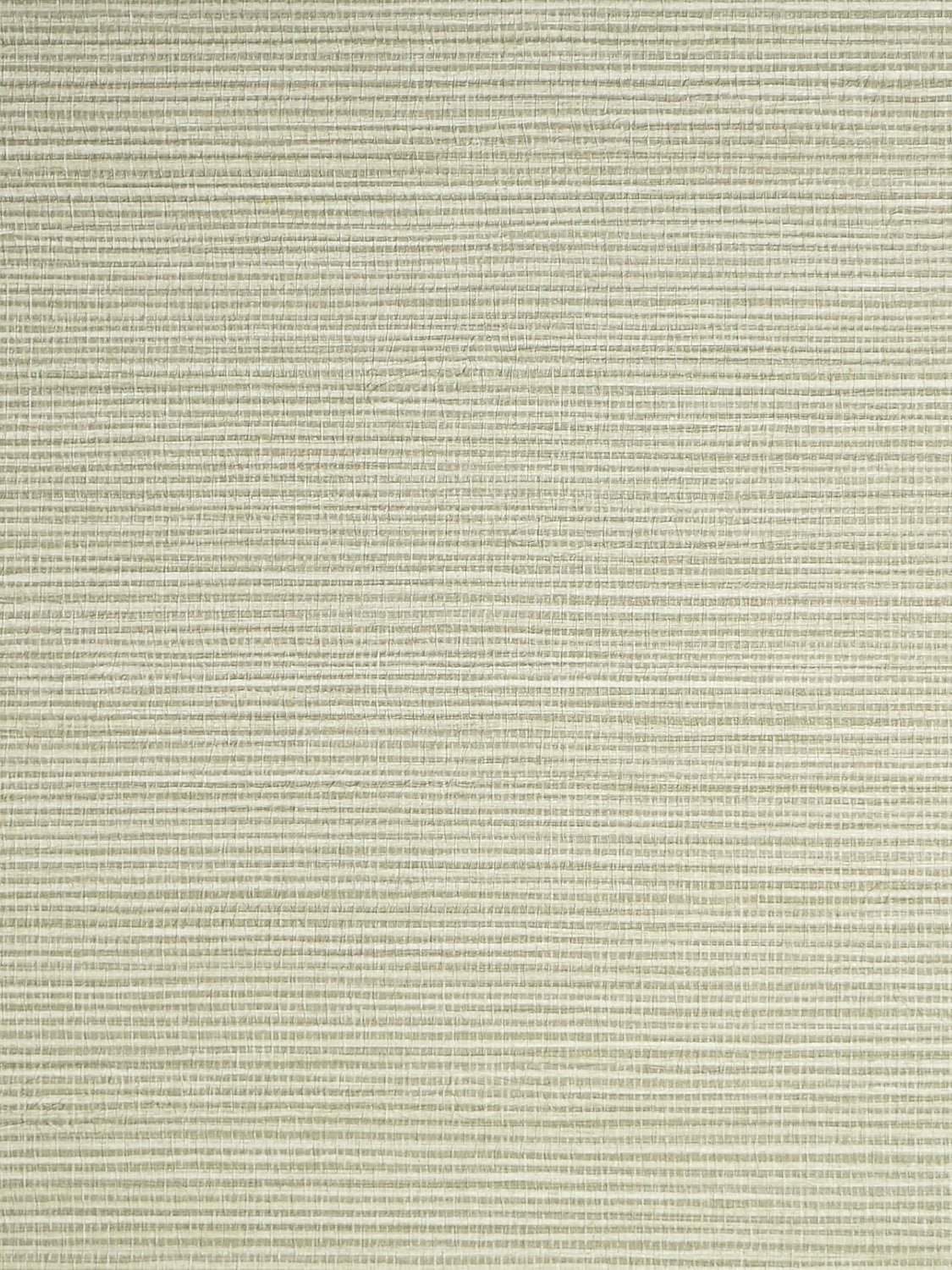 Savanna Seedling - Seagrass